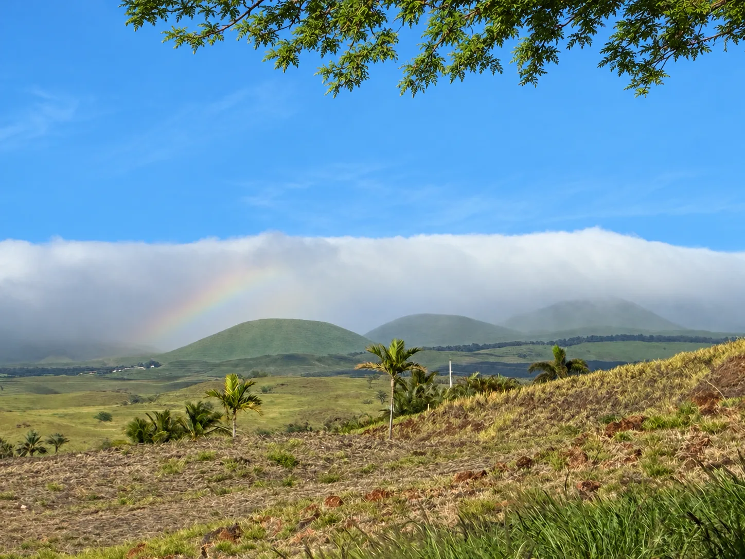 A rainbow arching over the cinder cones above Kohala Estates on the slopes of Kohala volcano