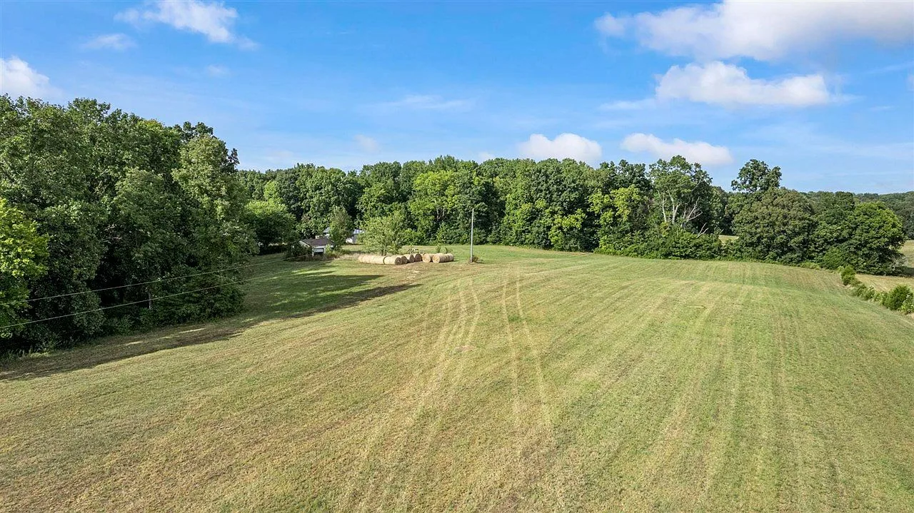 Rolling pasture with tree lines under a clear blue sky