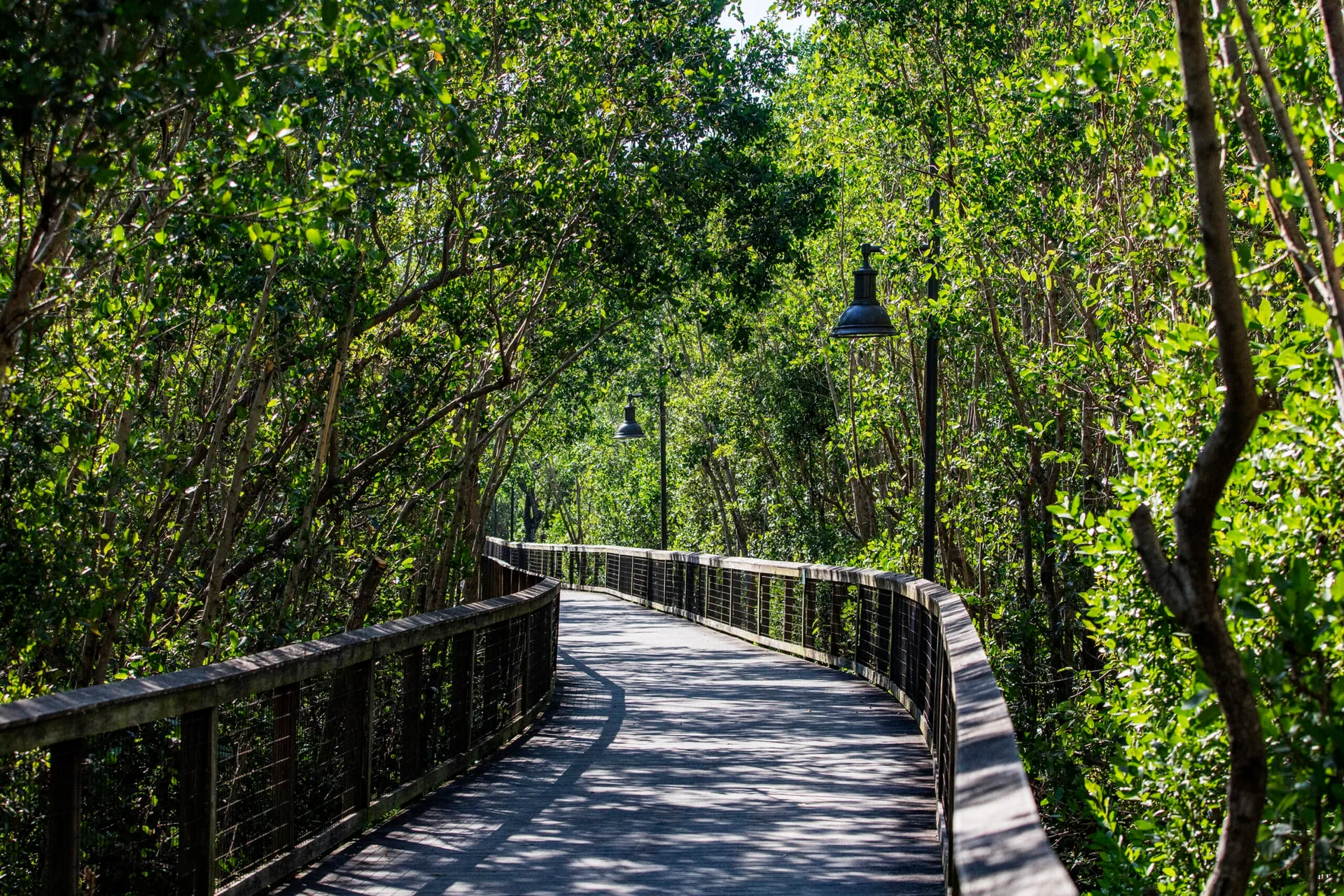 Pasarela de madera a traves de una reserva natural verde cerca de Coquina Sands en Napoles, Florida