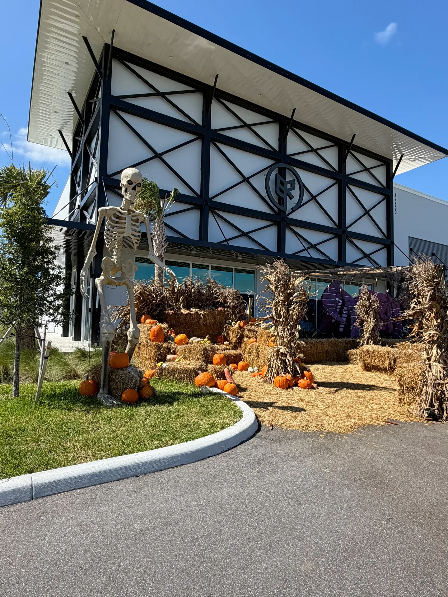 Curry Commerce Center building facade decorated for Halloween with a large skeleton standing among pumpkins and corn stalks