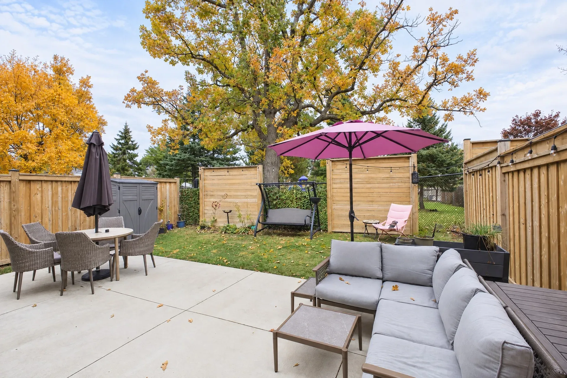 Backyard patio: Private patio behind a wood privacy fence