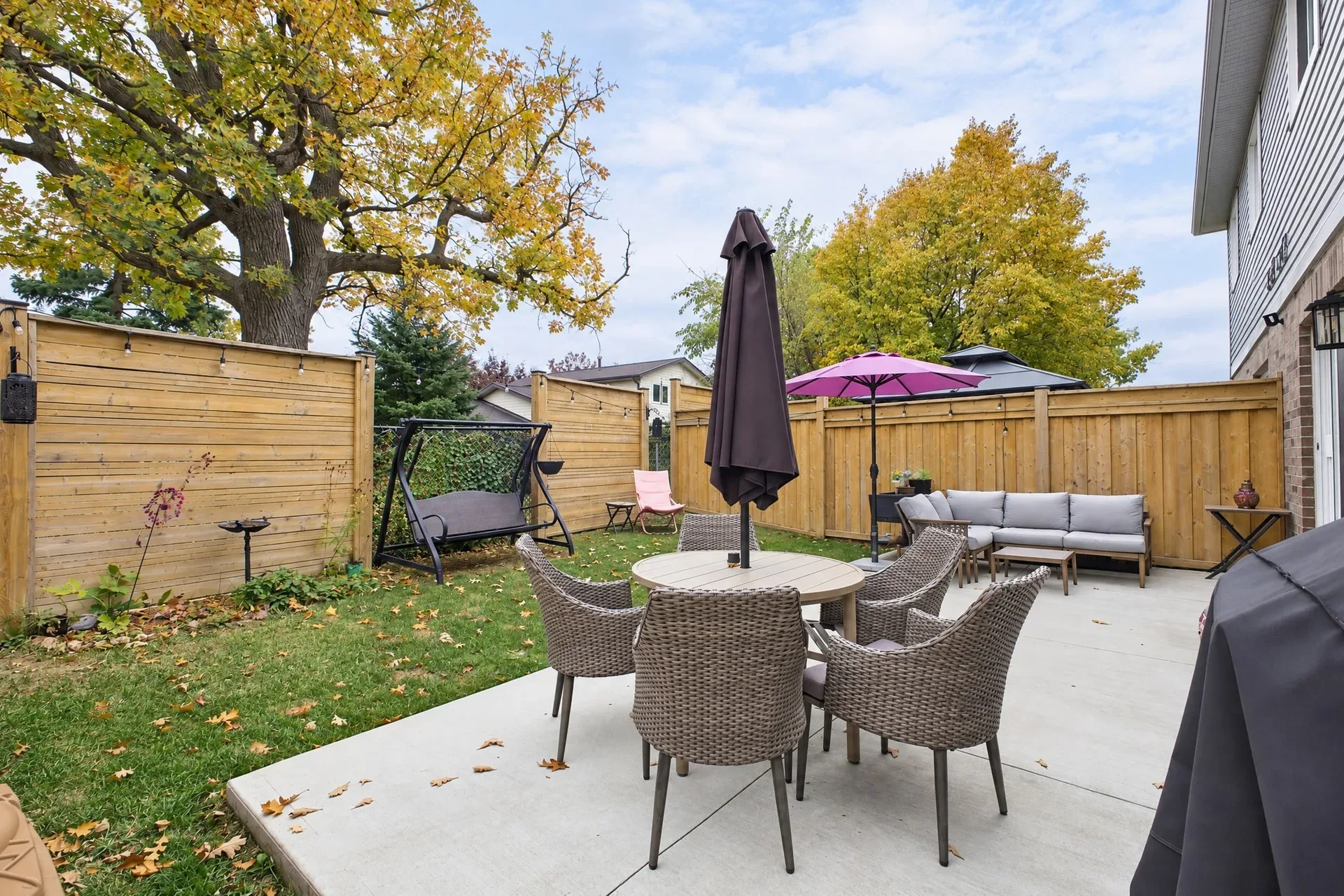 Backyard patio: Patio and lawn framed by mature trees