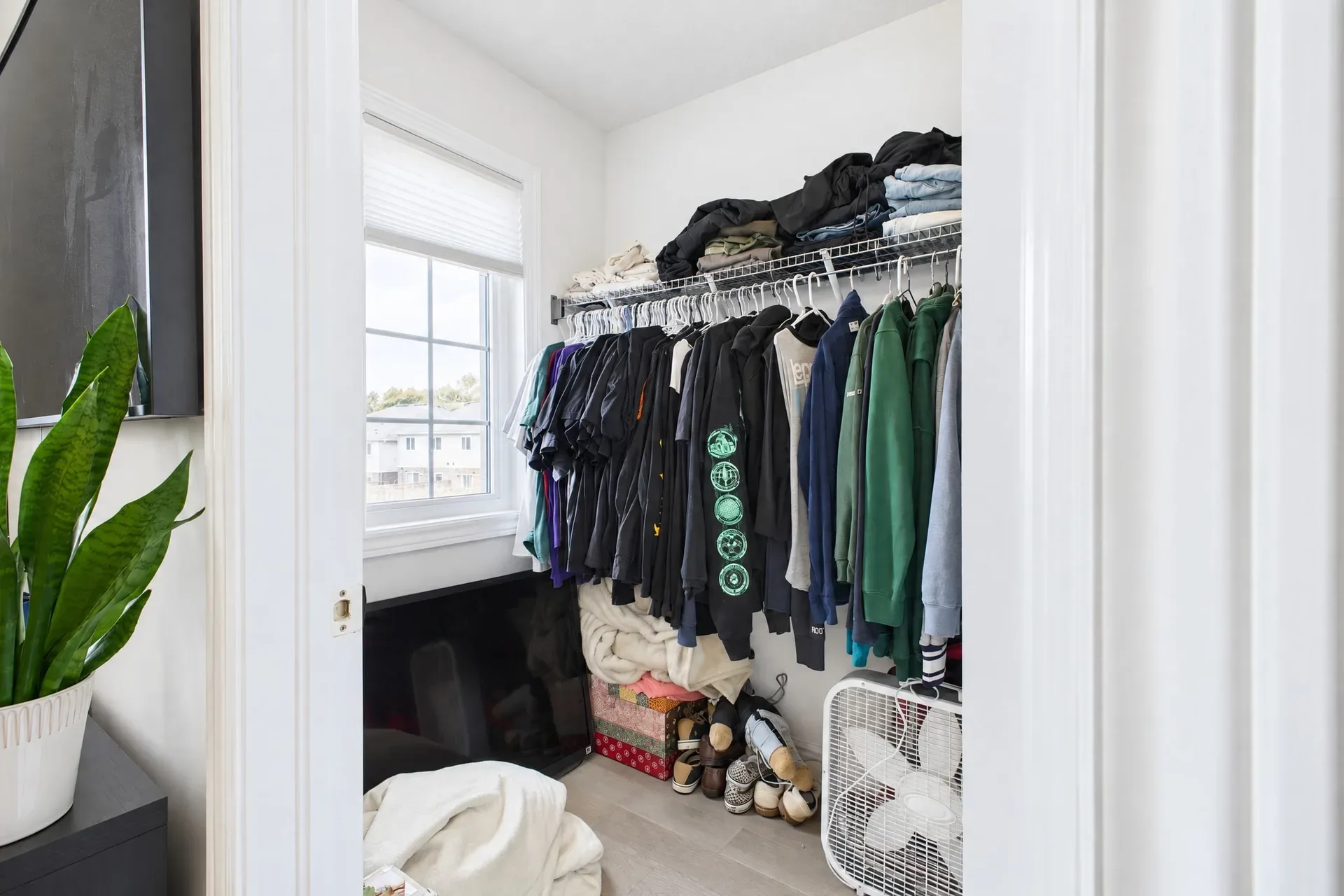 Primary walk-in closet: Walk-in closet with shelving and light