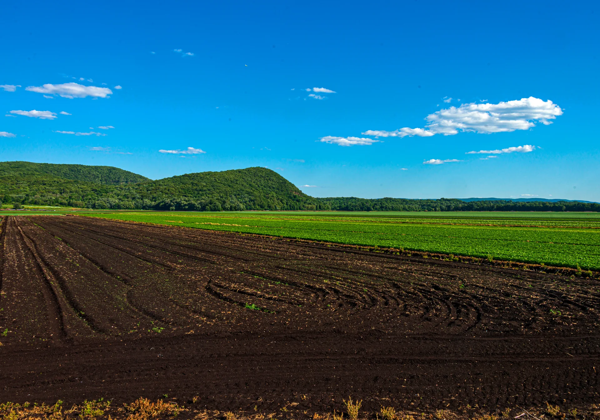 Rural farmland landscape with dark fields in the Warwick area