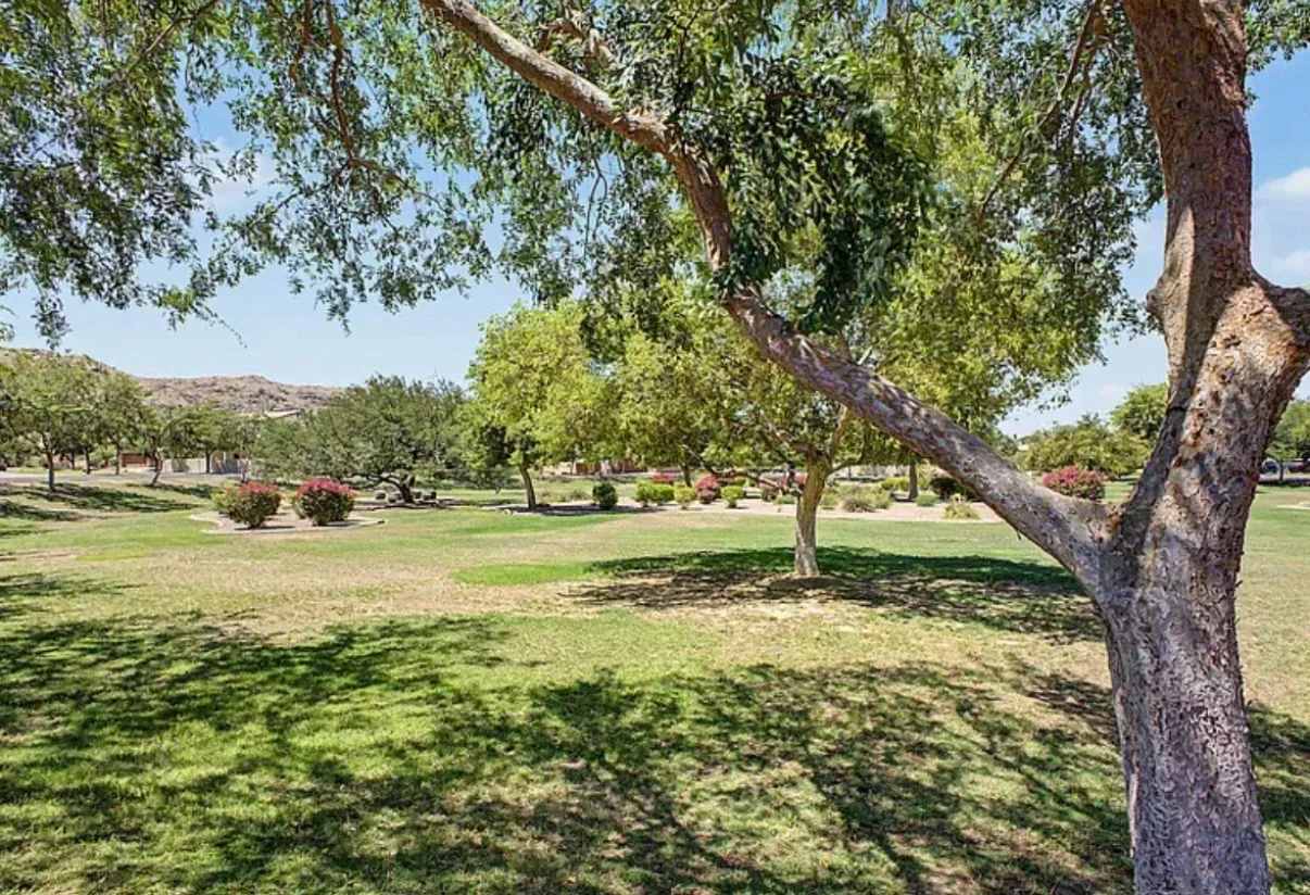 Neighborhood park with mature shade trees and low-desert shrubs