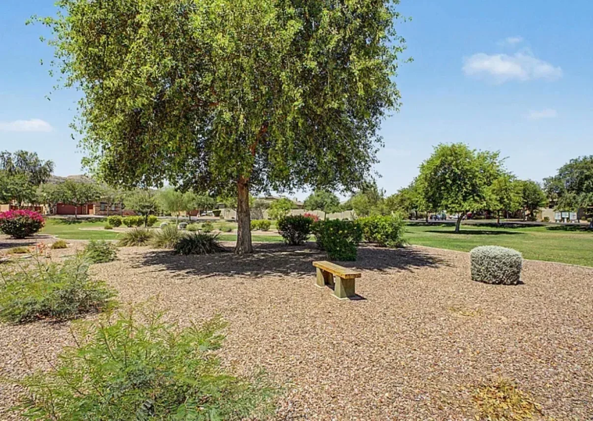 Park common area with desert landscaping and a bench