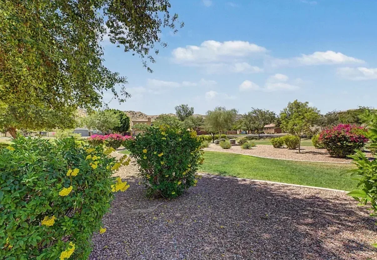 Landscaped backyard with grass, yellow blooming bushes, and pink bougainvillea against the desert foothills