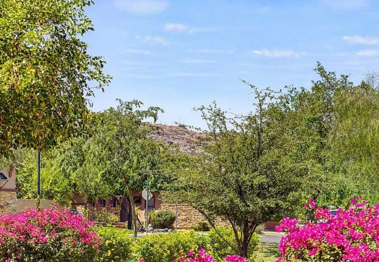 Landscaped front yard with pink bougainvillea and a desert mountain backdrop