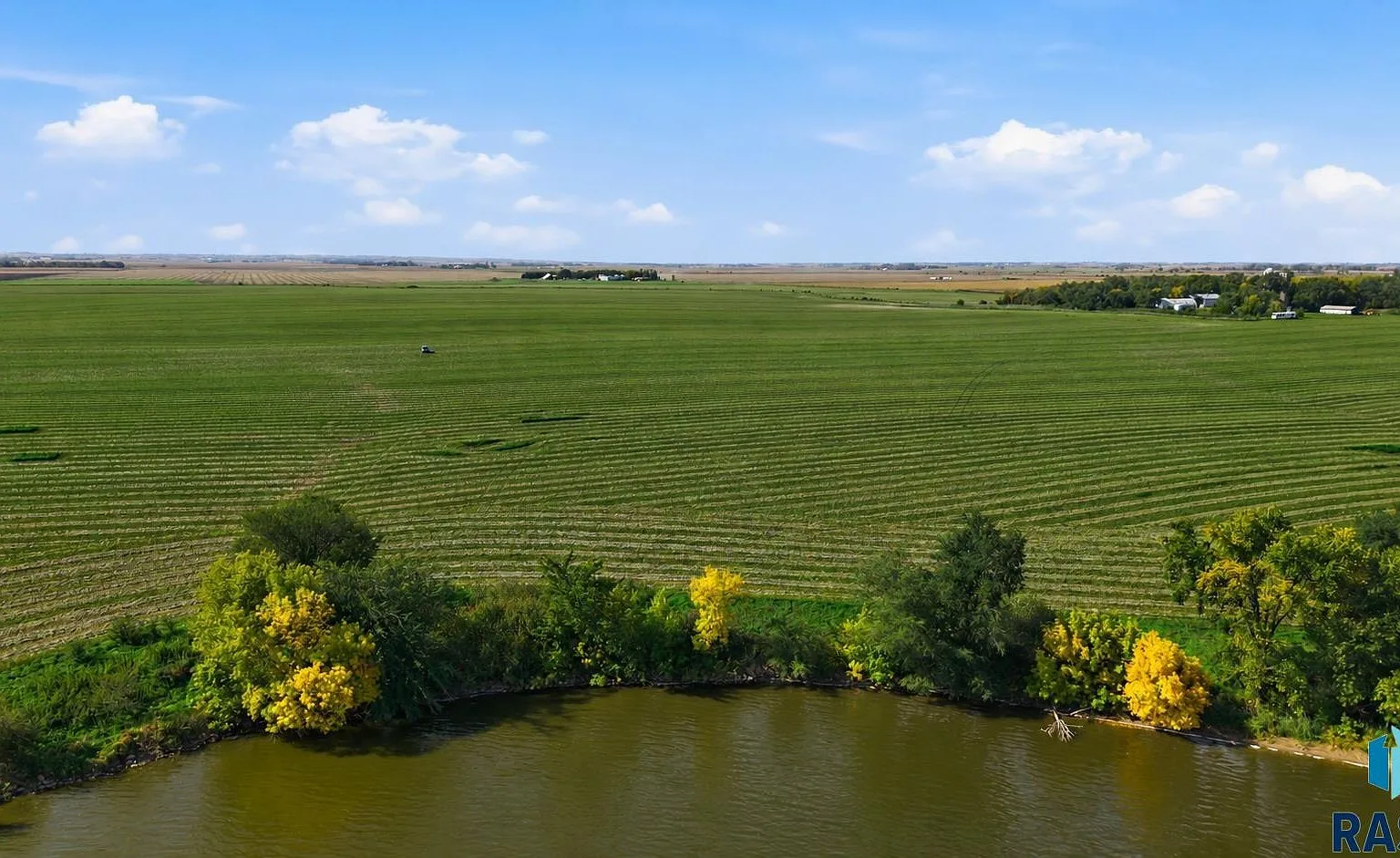 Aerial of Swan Lake surrounded by green farmland under a clear sky