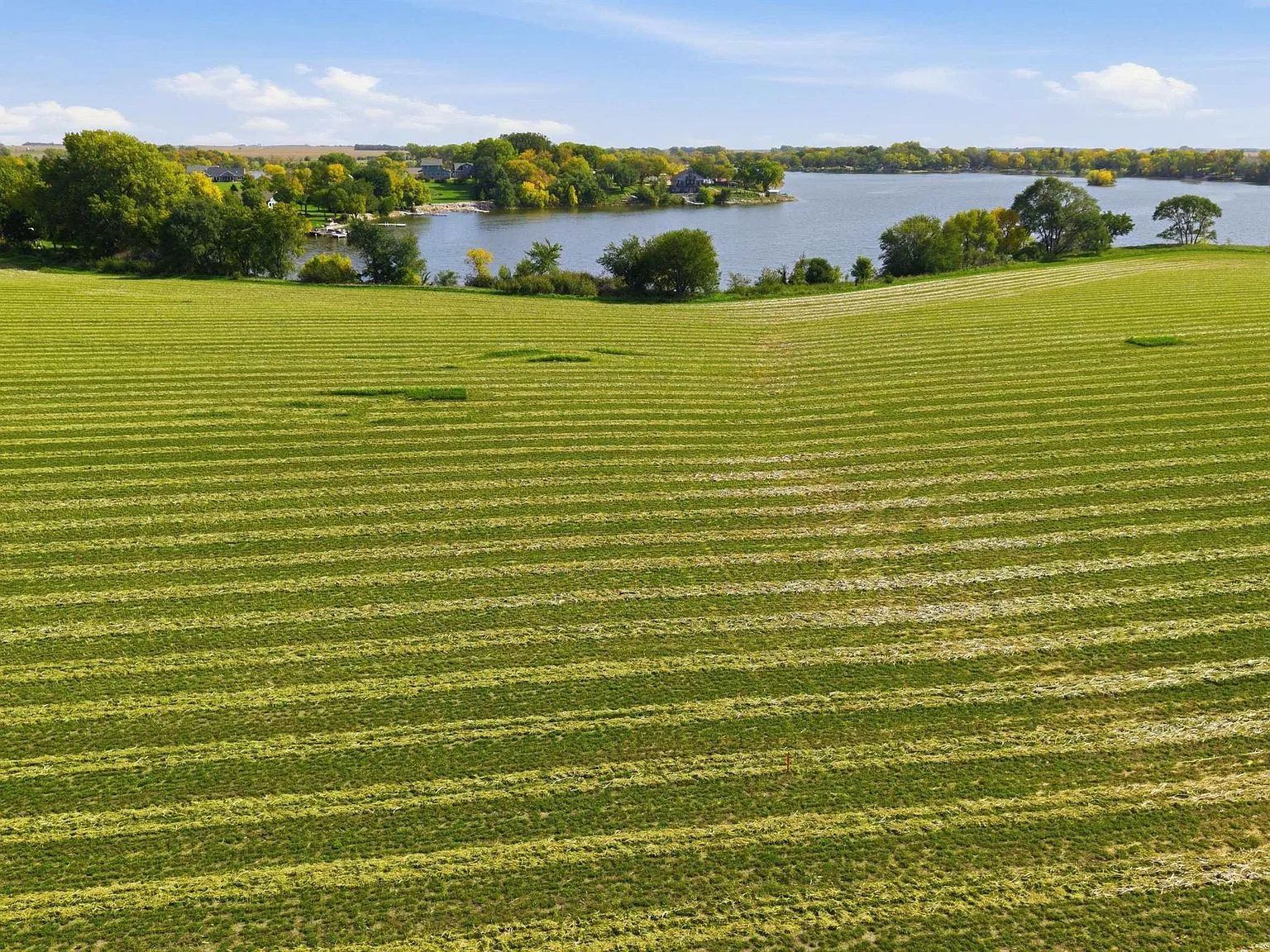 High-angle view of striped field grasses and the Swan Lake shoreline