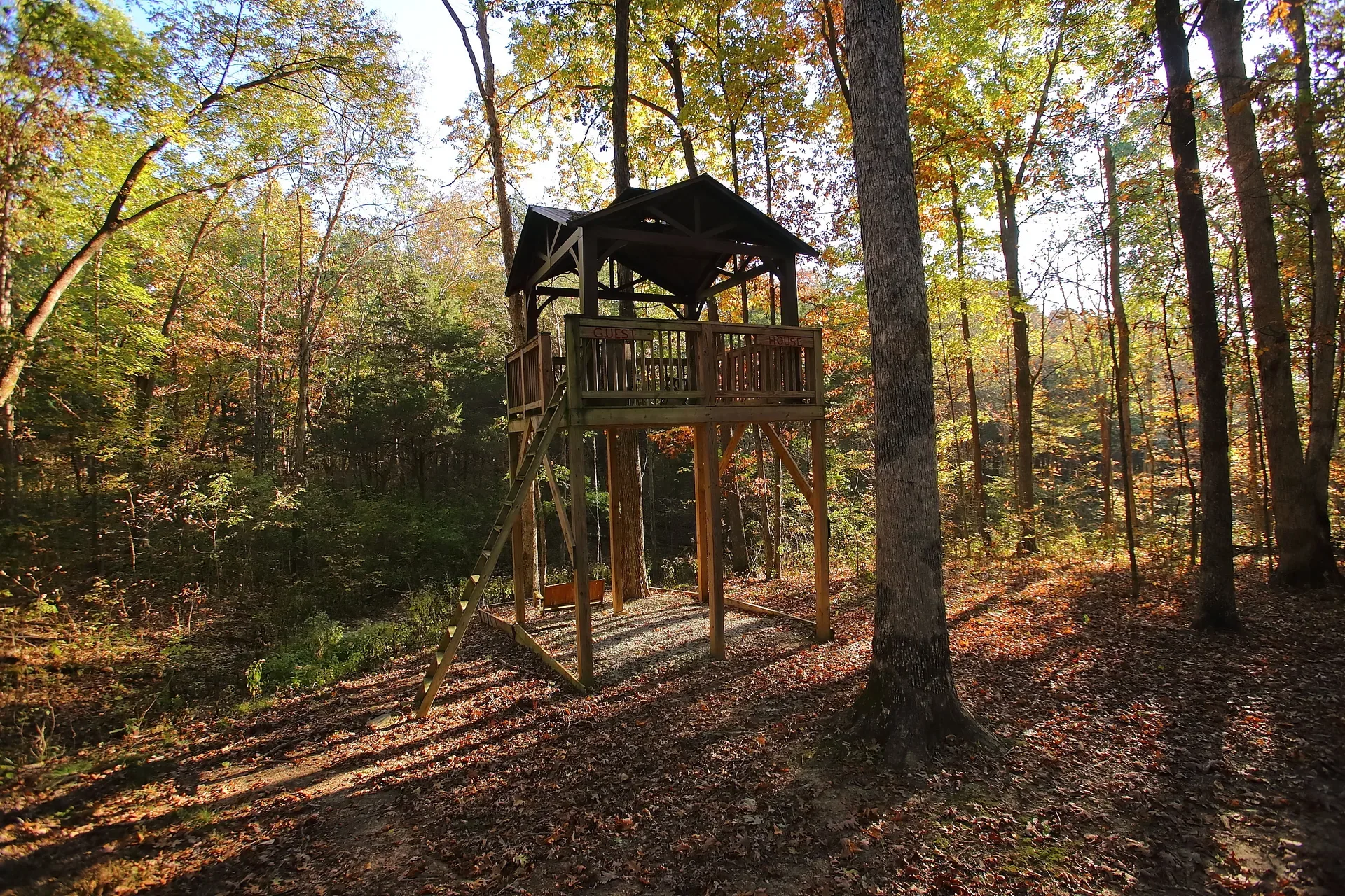 Raised recreational platform and hunting blind in the forest