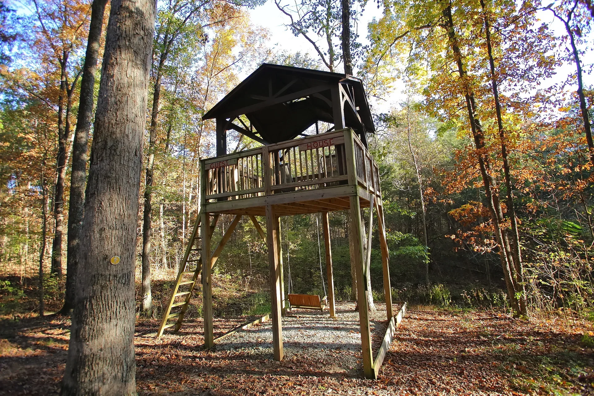 Elevated observation deck with a covered roof set among the trees