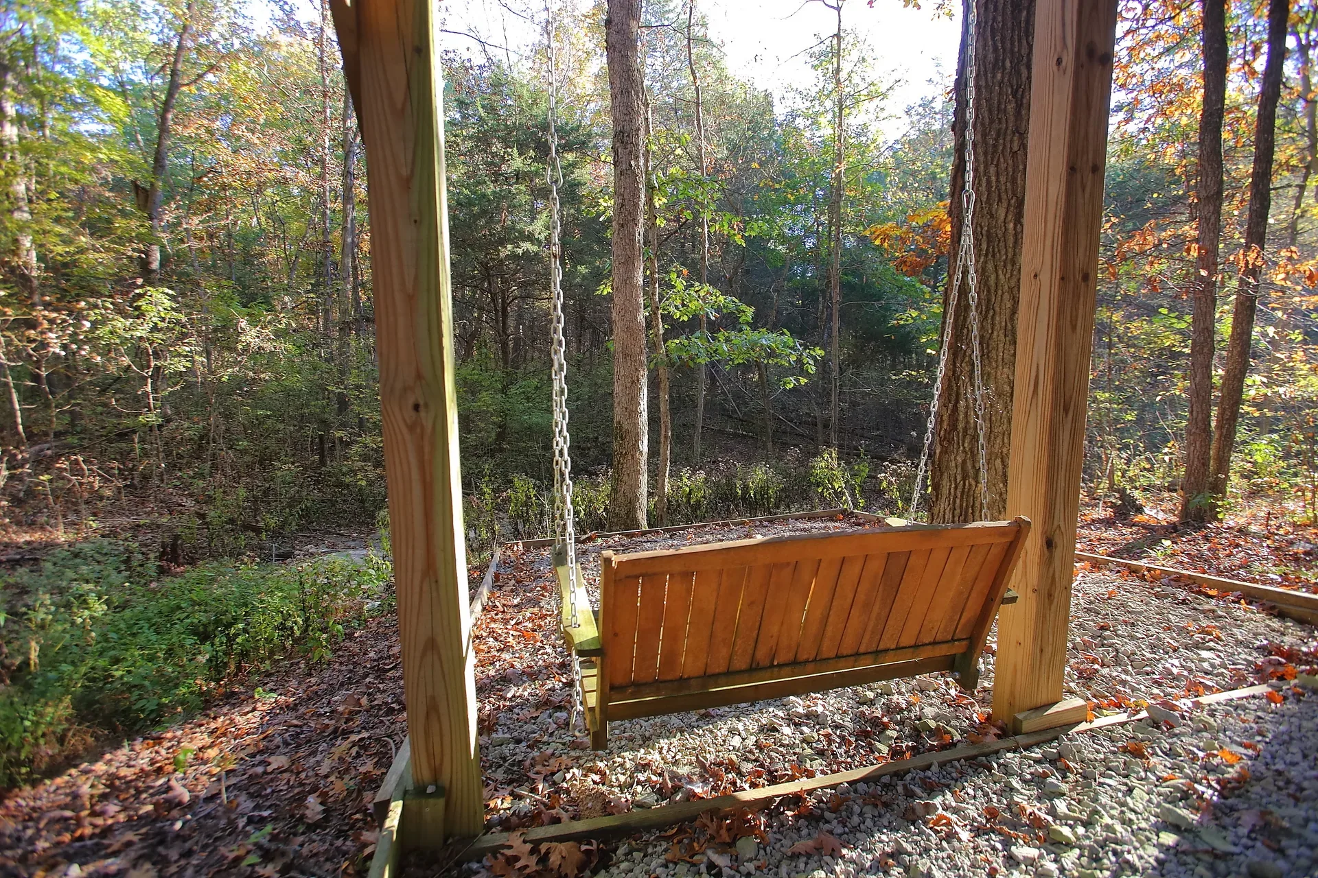Covered porch with a wooden swing looking out to the wooded yard