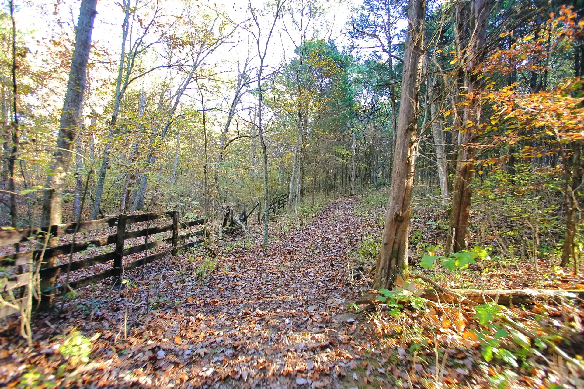 Wooded walking and ATV trail lined with a post-and-rail fence