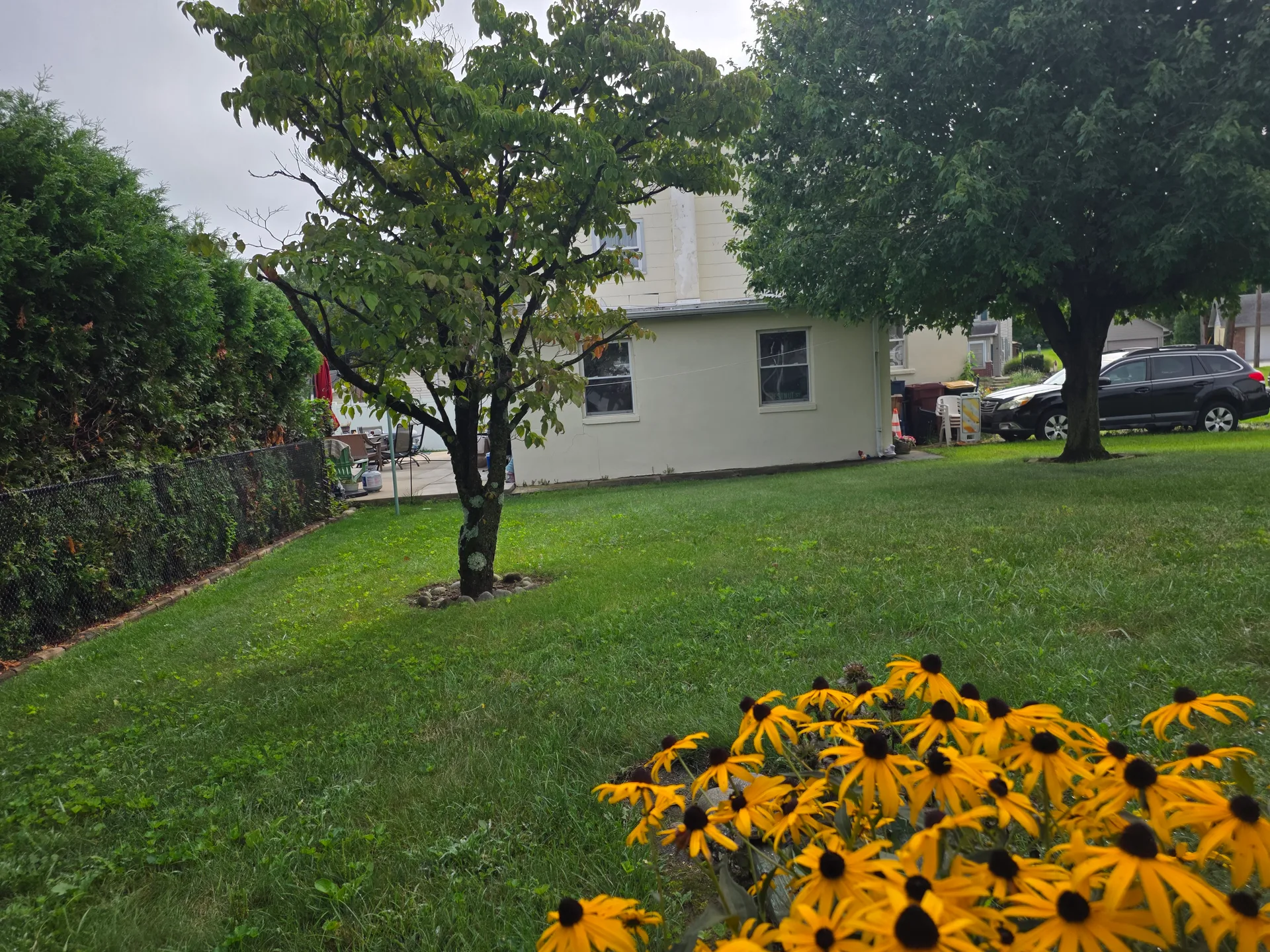 Backyard side view with lawn and mature landscaping