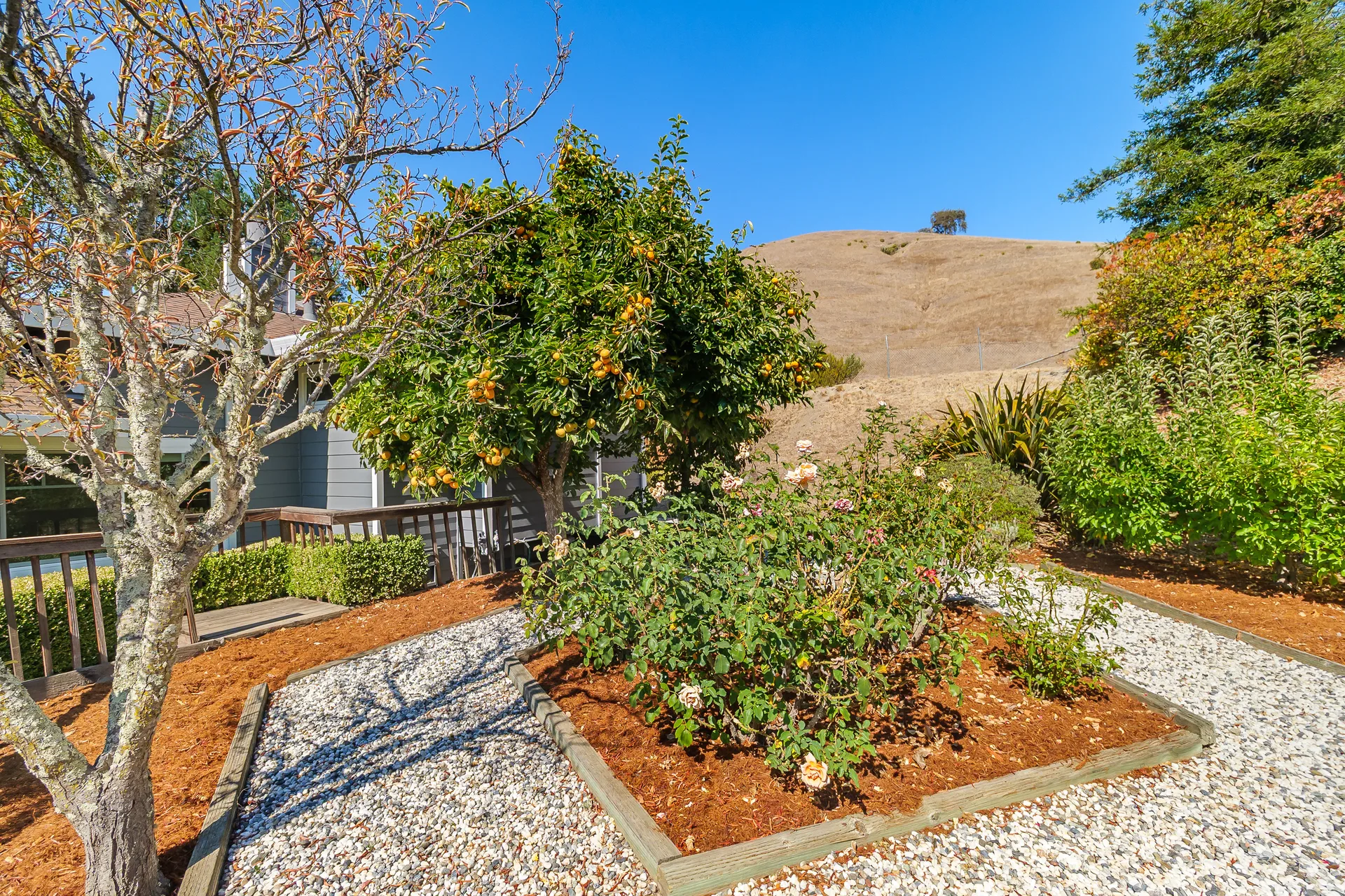 Terraced garden with views toward Mt. Burdell and open space