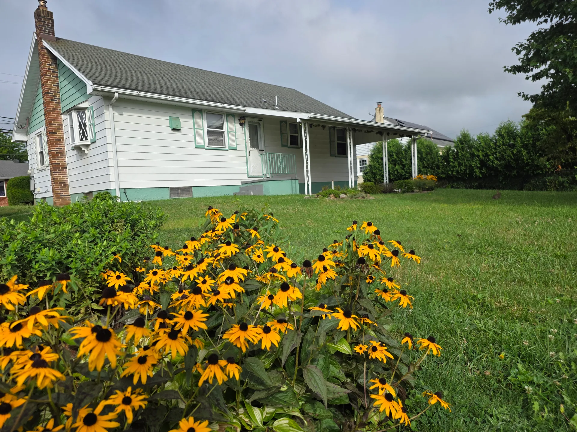 Front garden view of 4365 Spruce St