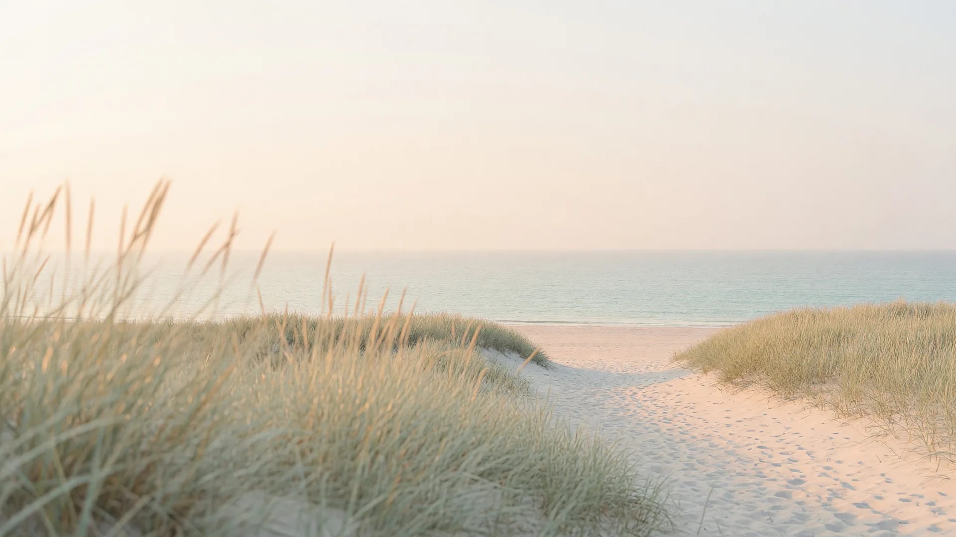 Coastal dune grass path leading toward a calm sea horizon