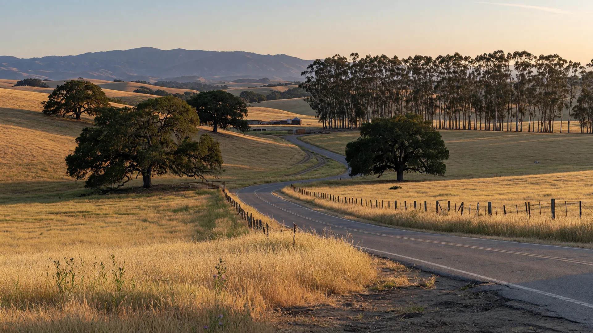 Golden rolling oak-studded hills of the Aromas and Prunedale countryside in North Monterey County California