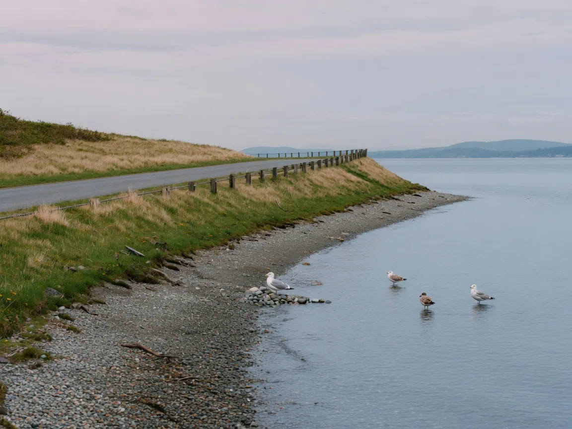 A low-lying coastal waterfront on southern Vancouver Island at high tide, a flat shoreline road beside a pebbly beach