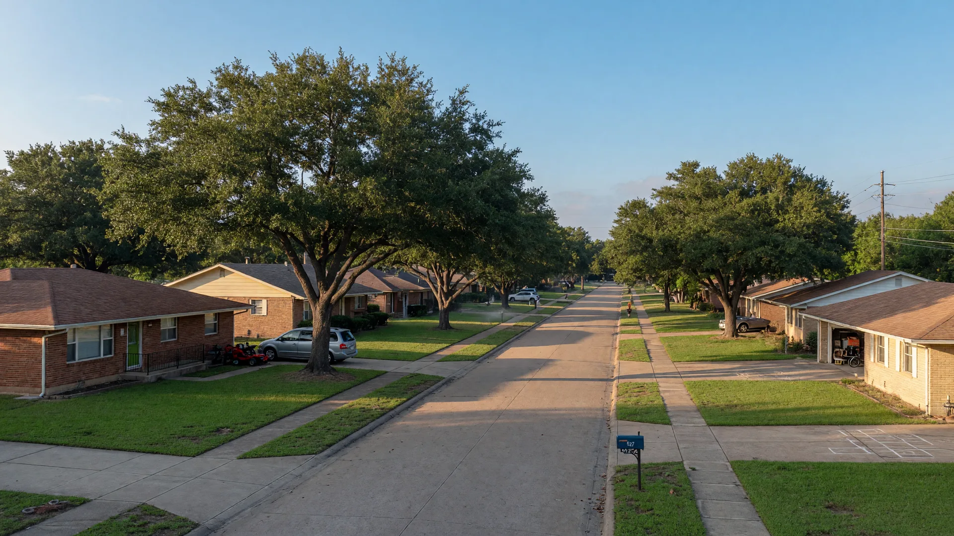 Established ranch-style brick homes on a Live Oak street in morning light, classic San Antonio real estate