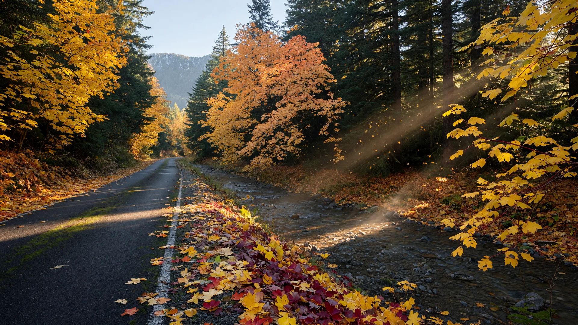 Skate Creek Road: Lewis County’s best fall foliage drive