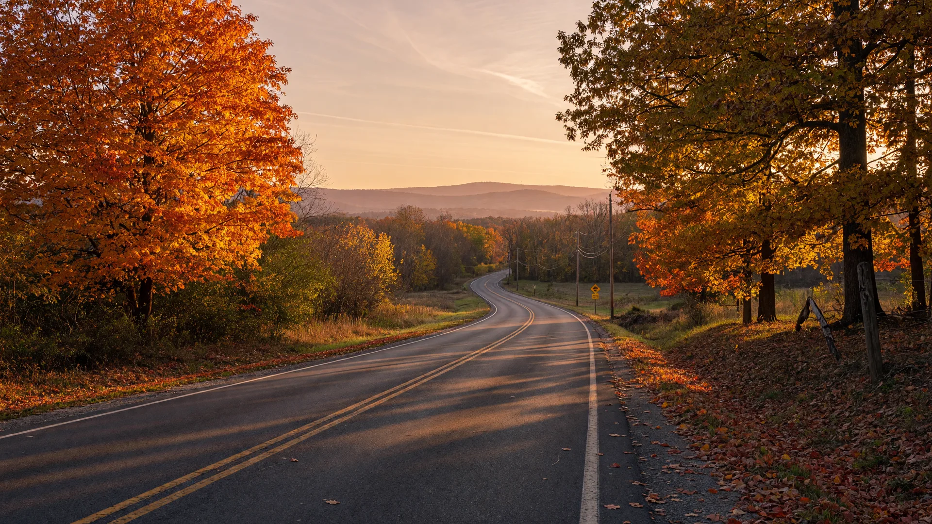 A quiet two-lane Virginia road rolling through tree-lined countryside at golden hour