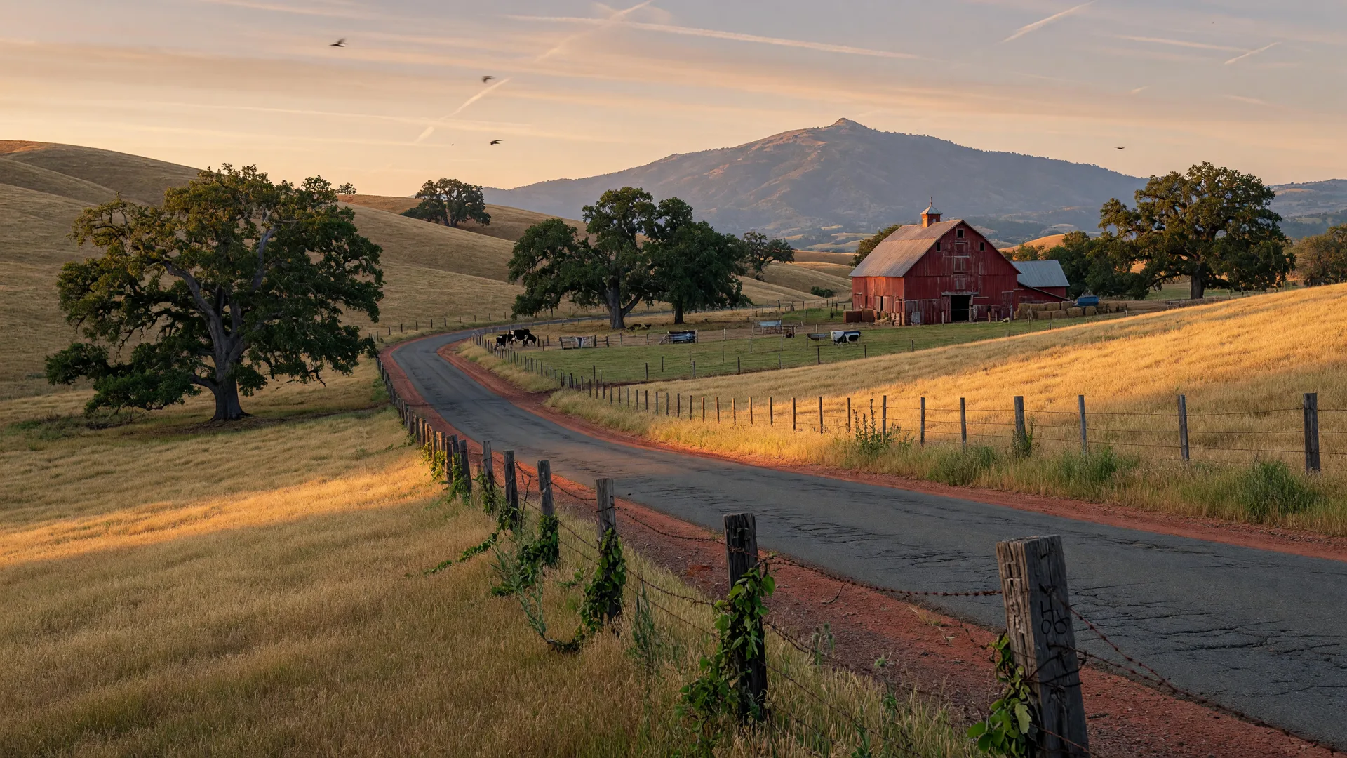 Penngrove in Sonoma County