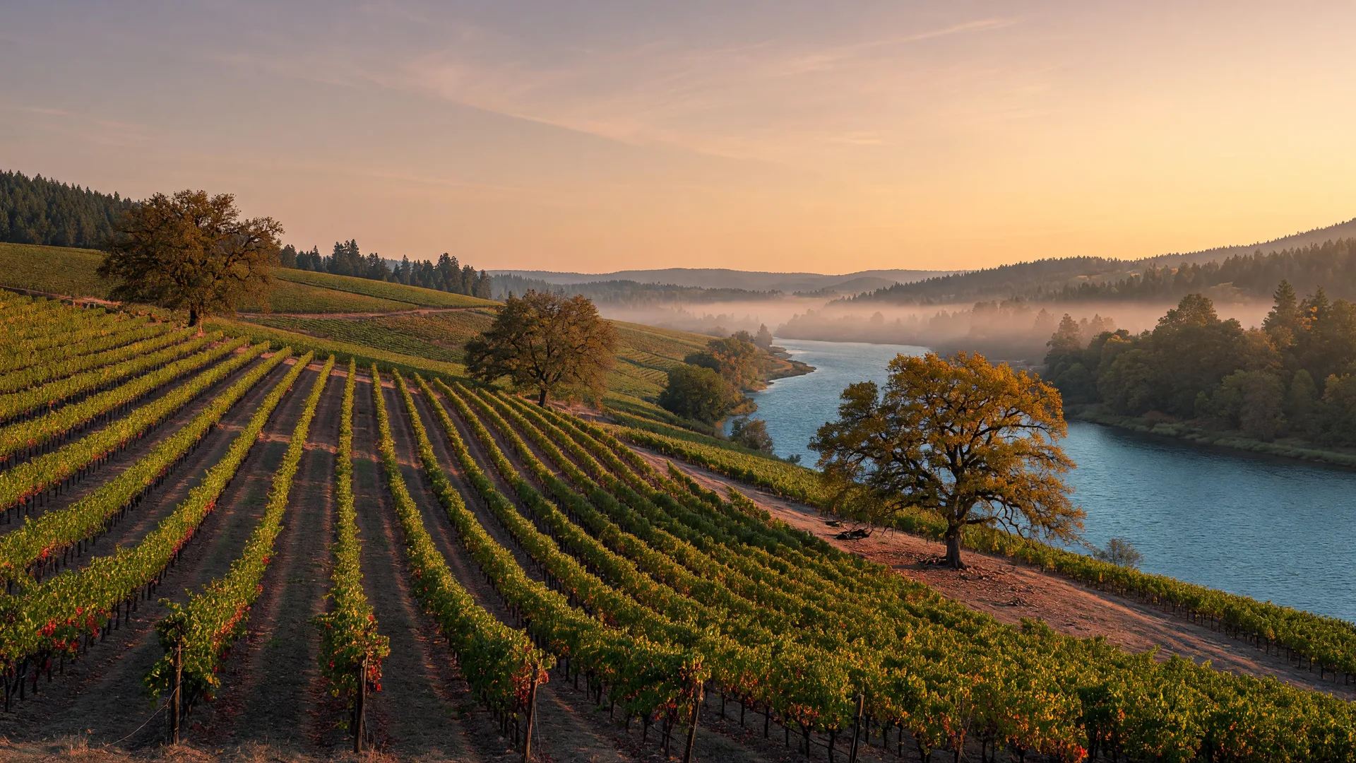 Golden Weekend in Grants Pass: Racing, Comedy, and Vineyard Evenings