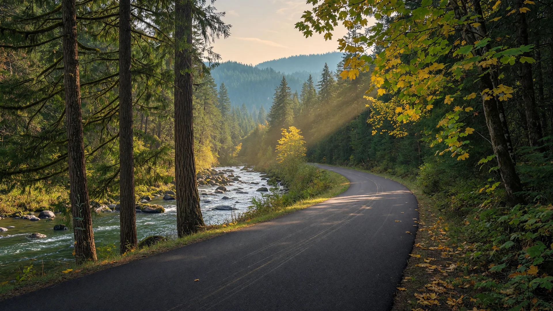 Smooth paved Cazadero Trail curving through a Douglas fir and cedar canyon alongside the Clackamas River near Estacada, Oregon, under soft golden autumn light