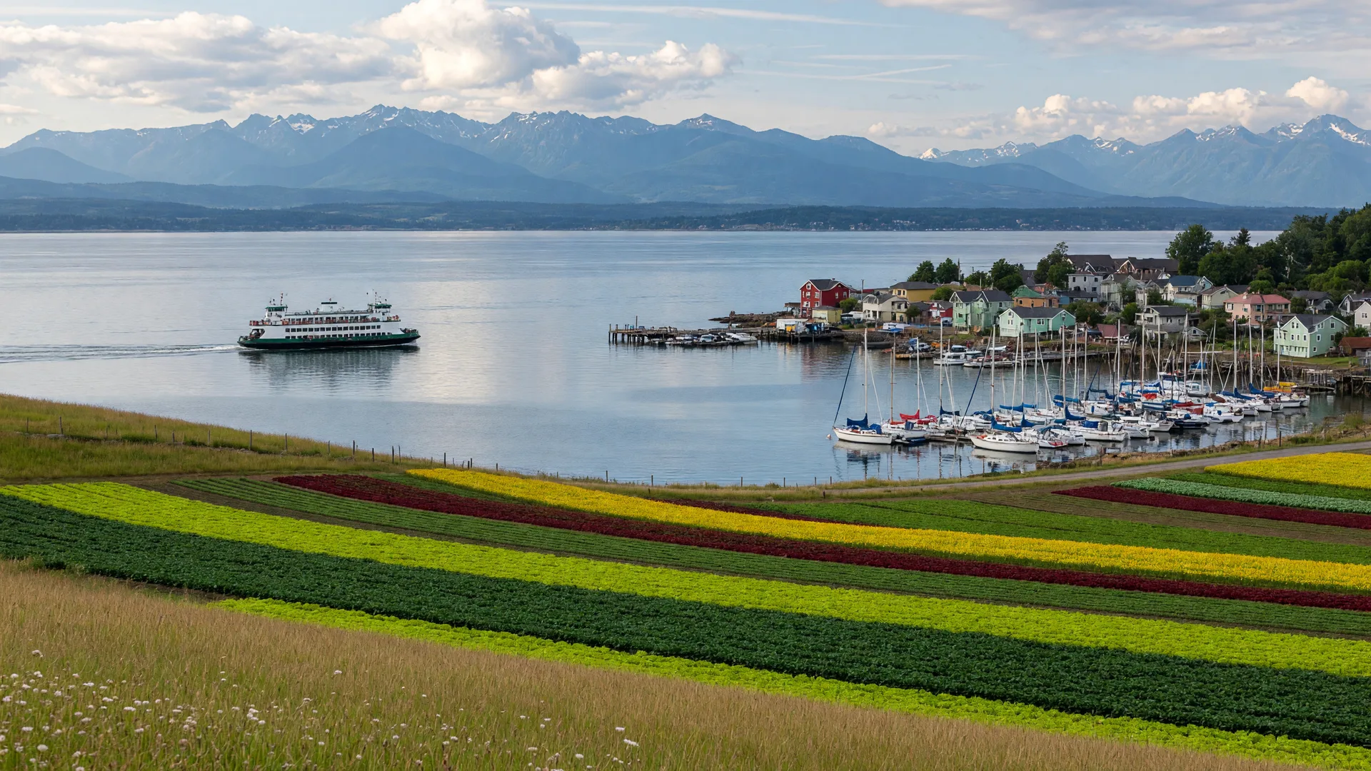 Is the Saanich Peninsula a Good Fit for Families and Retirees? A Local's Guide