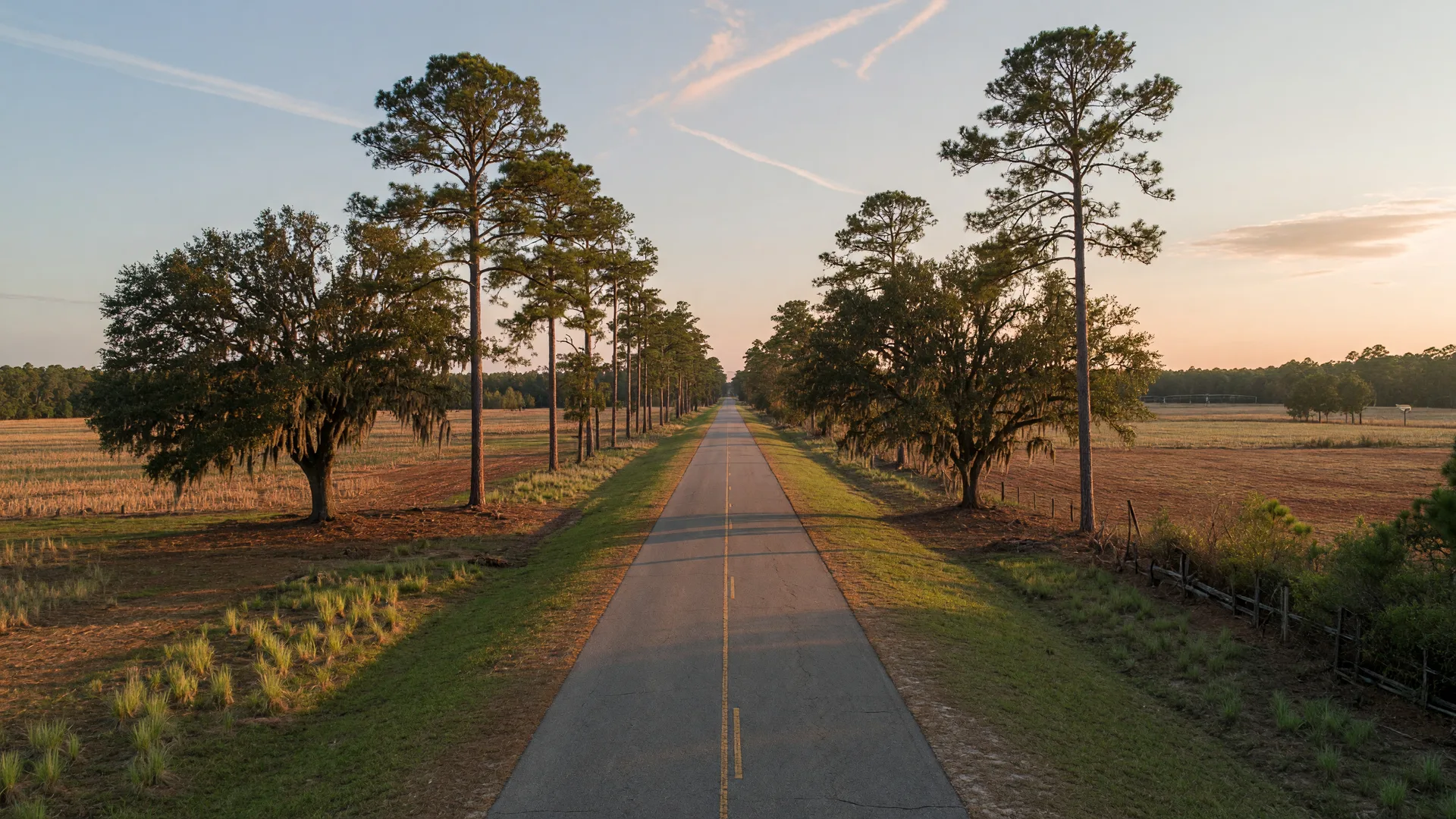 Two-lane country road through pine flats in coastal Effingham County, Georgia