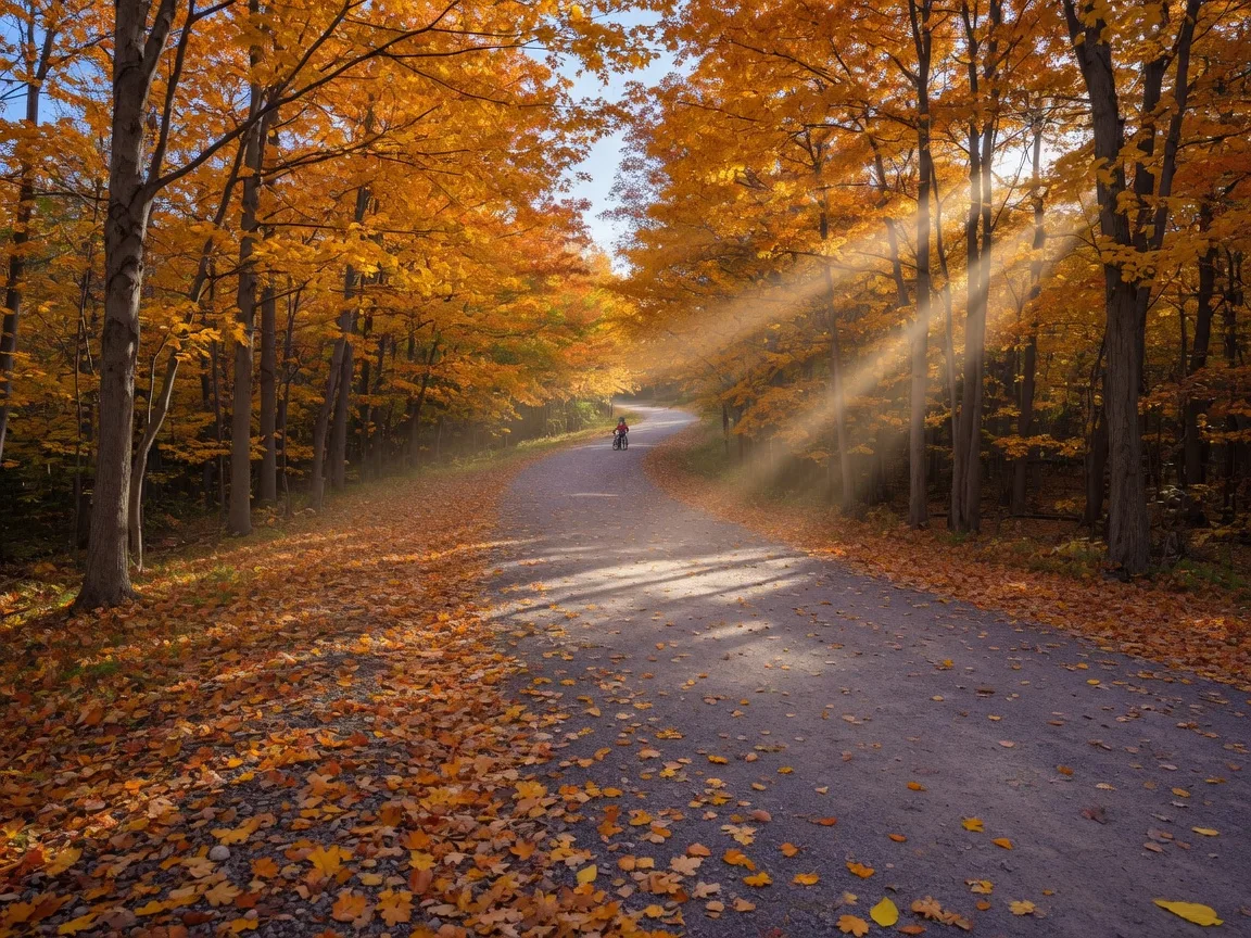 A wide gravel multi-use trail winding through the Durham Regional Forest in Uxbridge, Ontario on a bright late October morning, with sugar maples and beech trees in orange and gold, fallen leaves carpeting the path, and shafts of morning sunlight through the canopy