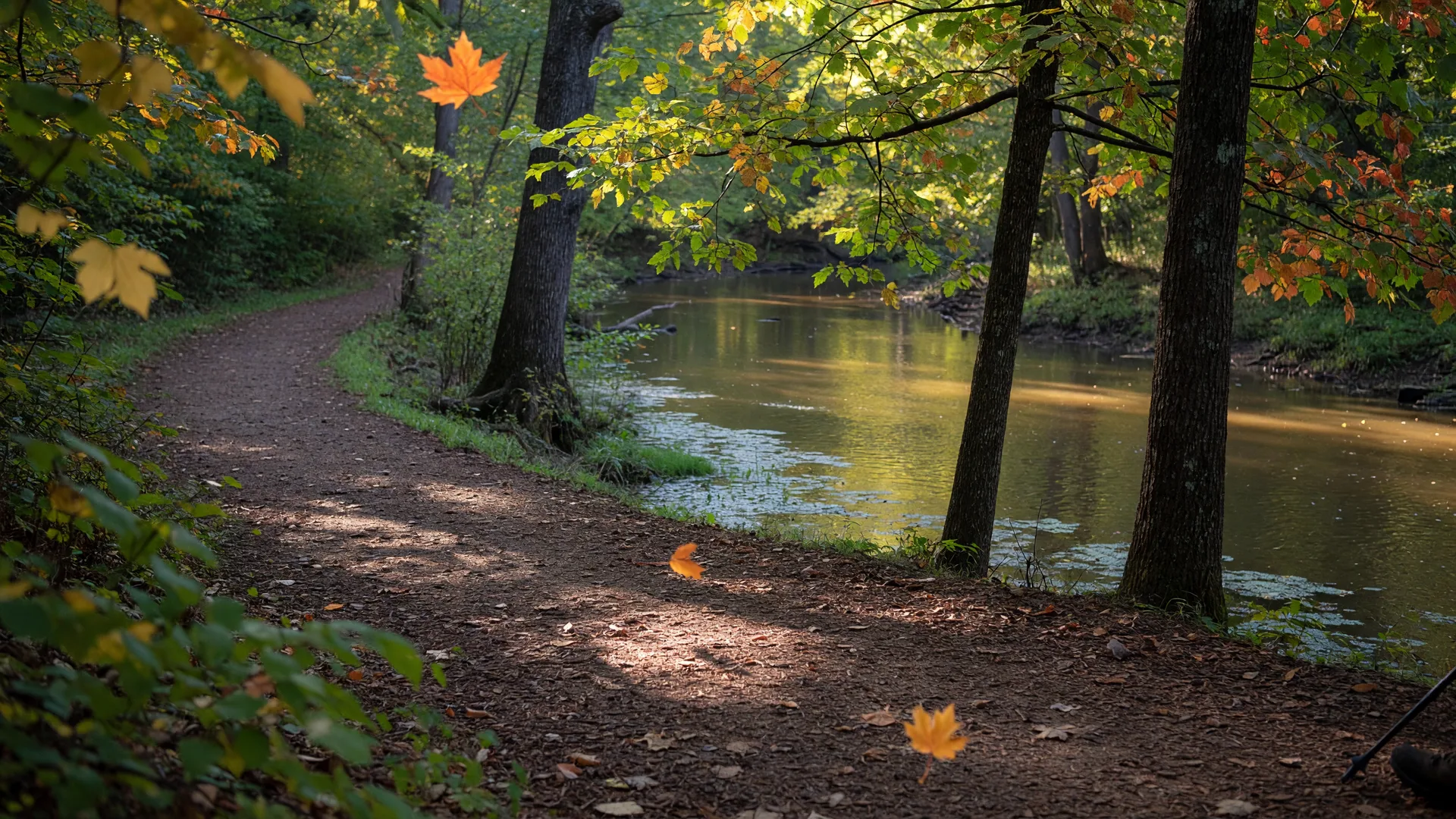 Best Walking Trails in and Around Delran, NJ