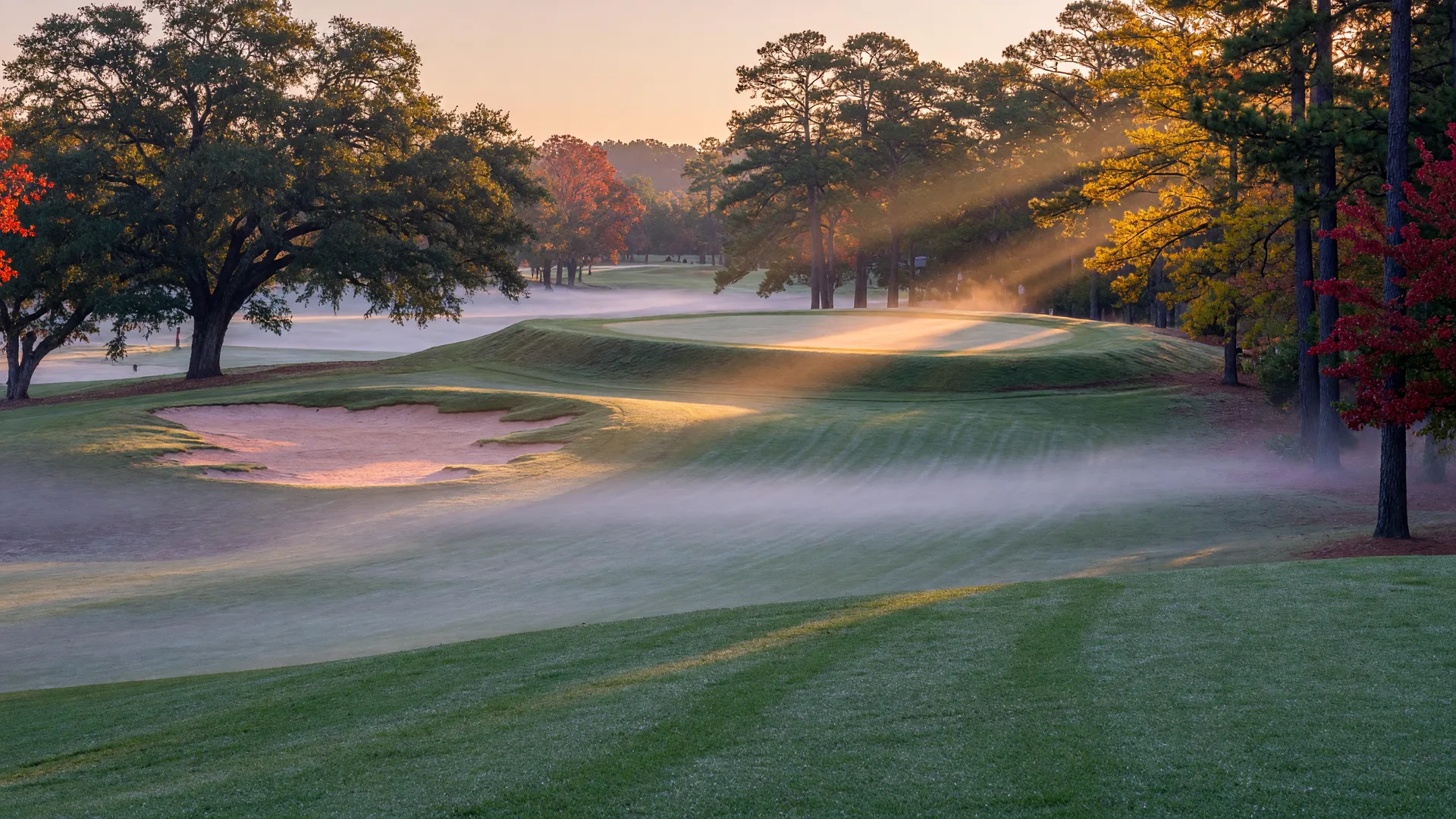 A championship golf fairway in the early morning at Georgia National Golf Club