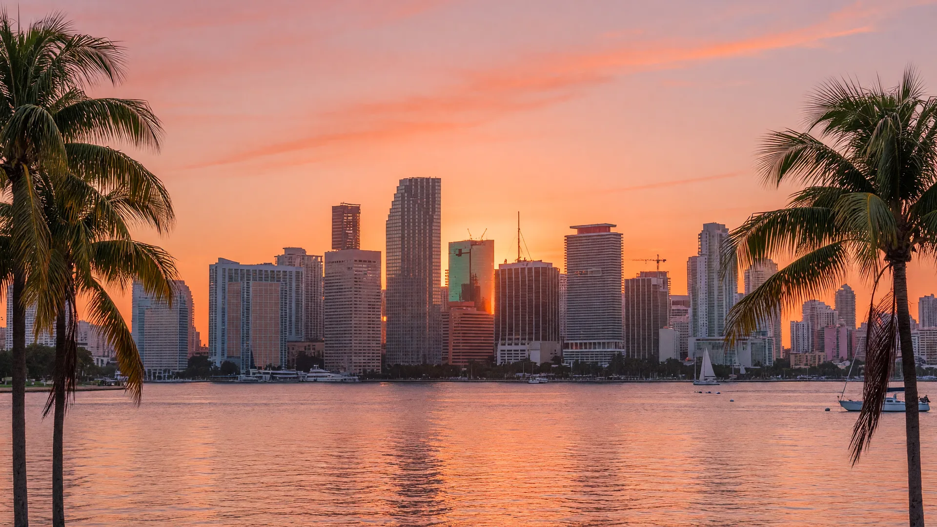 Miami skyline at golden hour with palm trees
