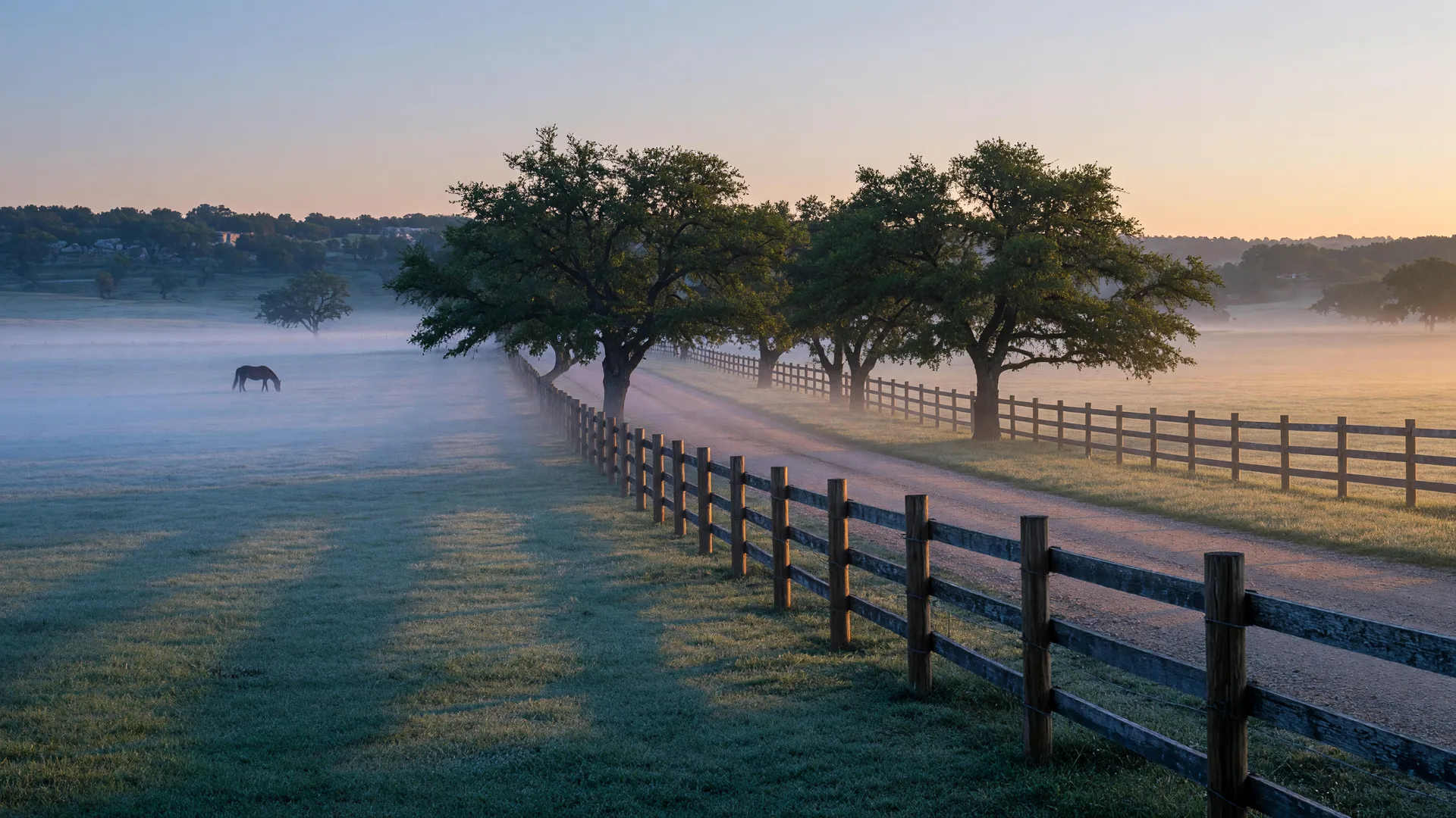 A split-rail fence line with live oaks along a Texas ranch road at dawn, mist over the meadow
