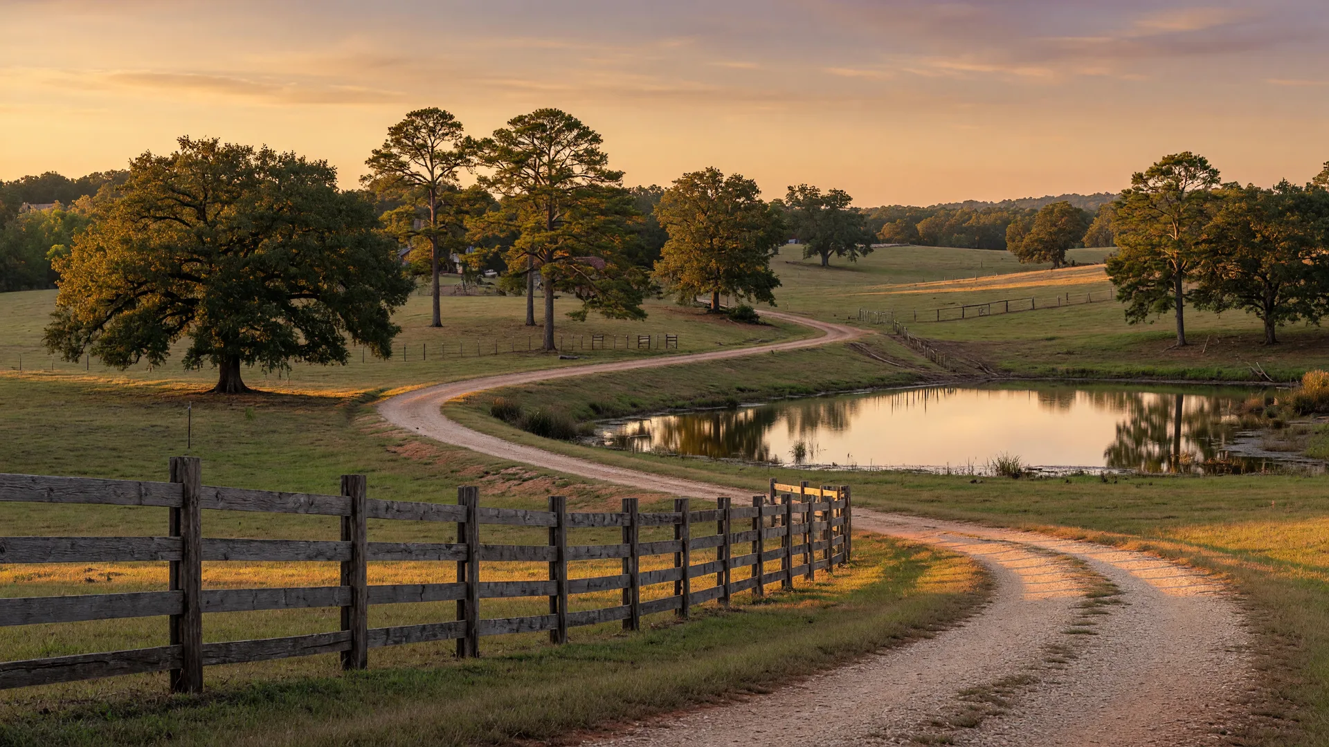 Golden hour rural landscape in Morris County Texas with pastures and trees