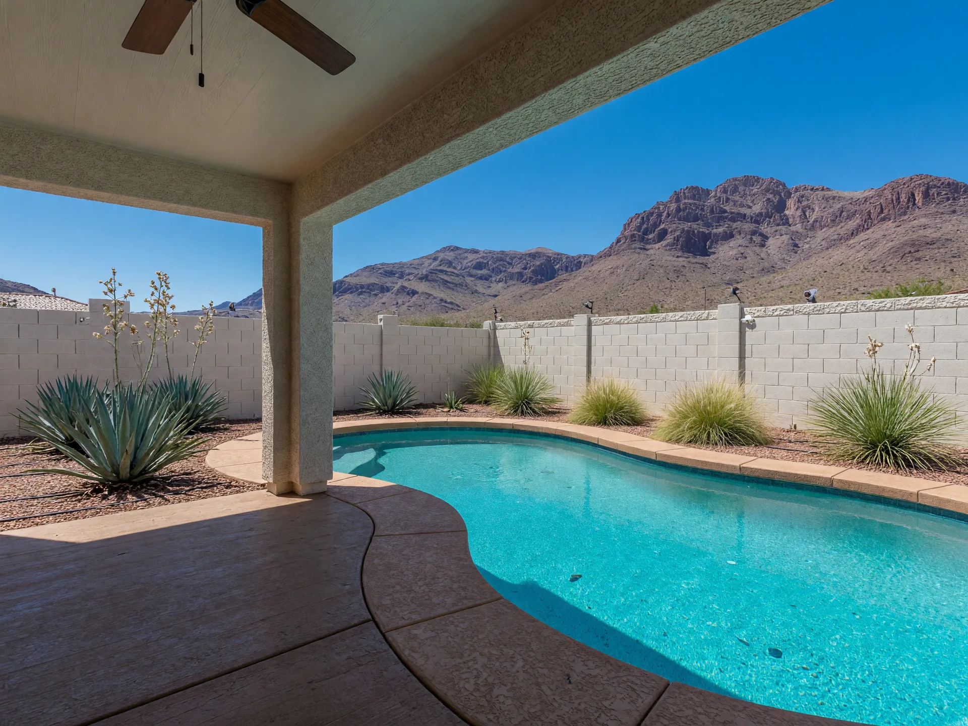 Desert backyard in Las Vegas with a pool, covered patio and low-water landscaping