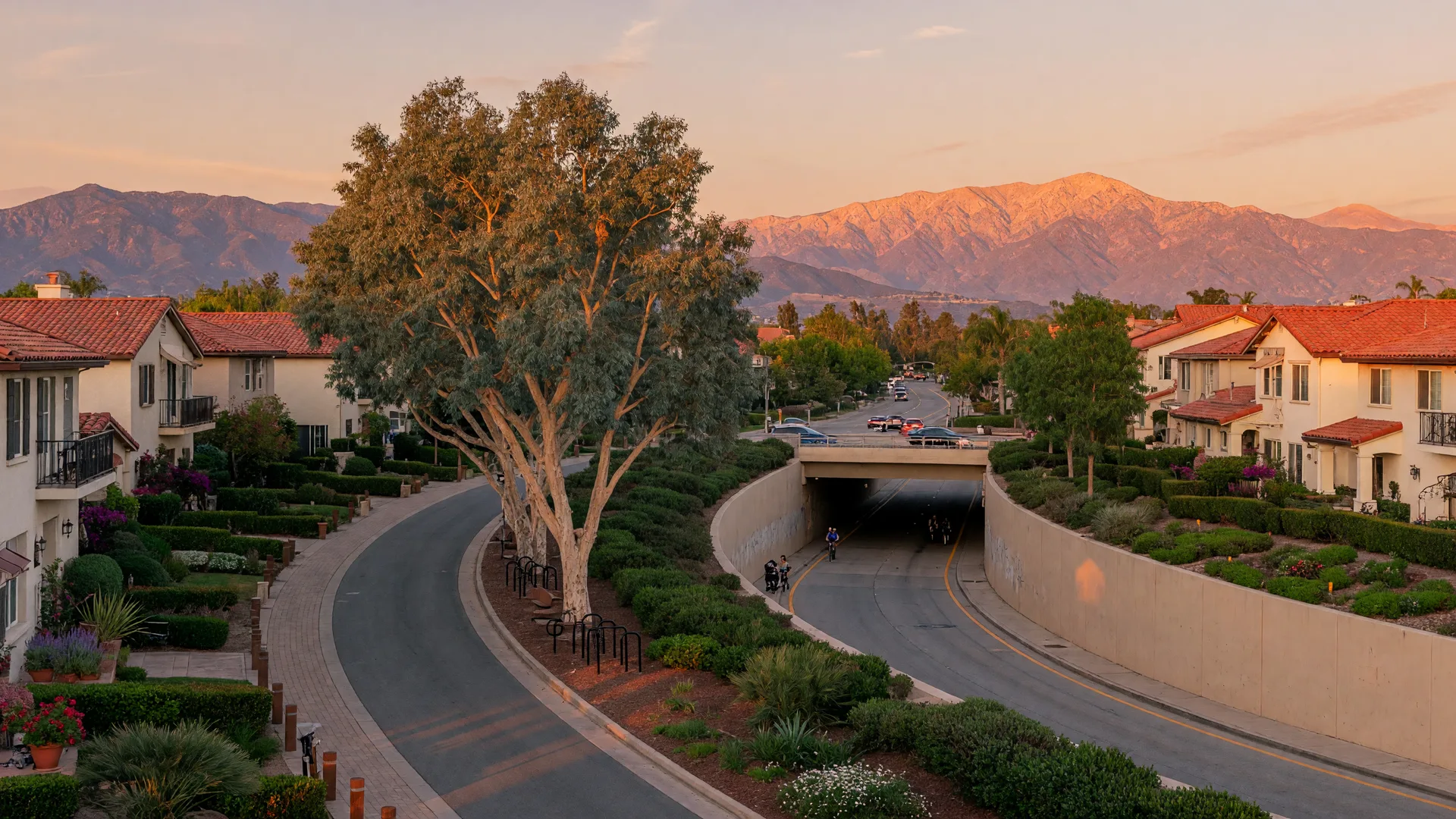 A shaded paseo walking path curving through master-planned Valencia homes at golden hour