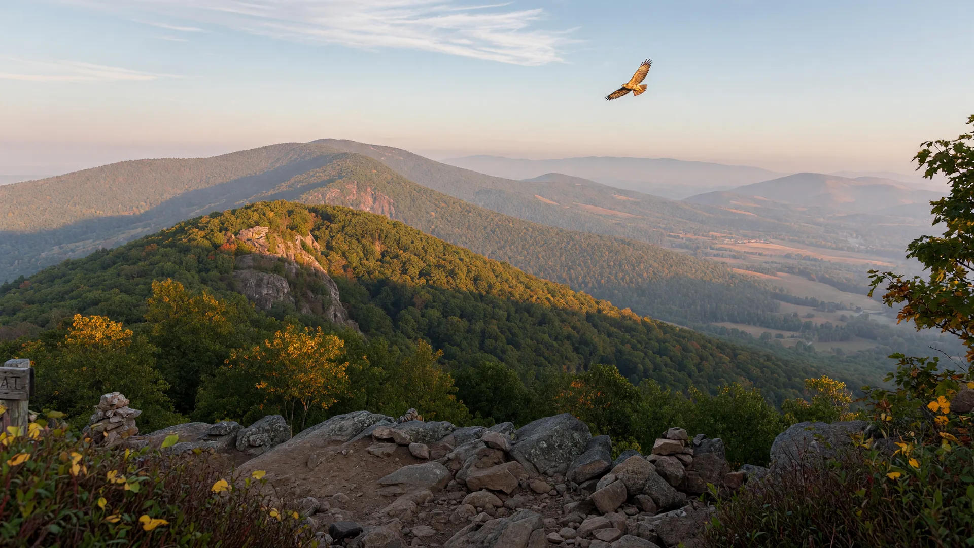 The Blue Mountain ridgeline in early-fall color seen from the Bake Oven Knob overlook in Lehigh County, Pennsylvania
