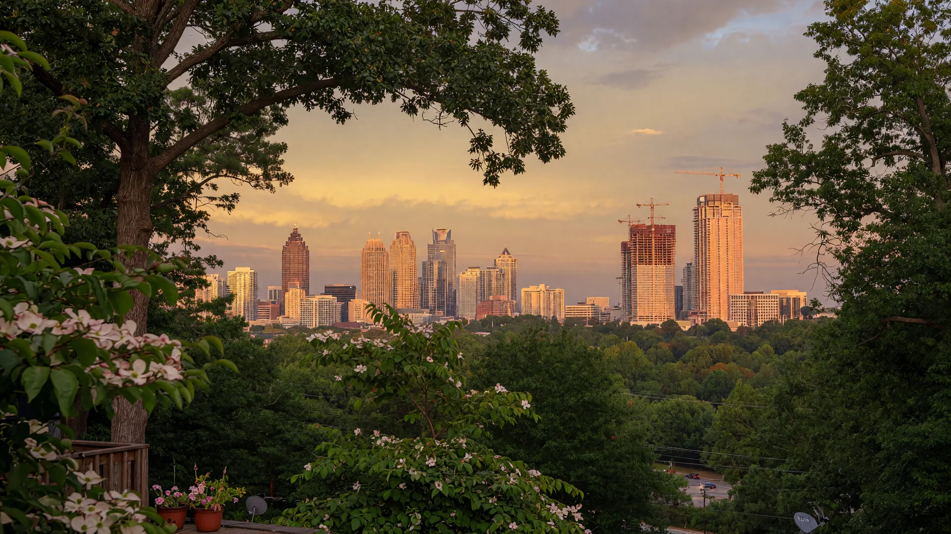 Metro Atlanta skyline at golden hour seen through a canopy of oak trees