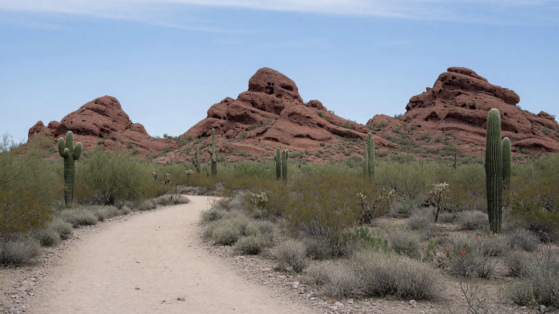 Red sandstone buttes of Papago Park glowing at sunset with a desert trail through saguaros