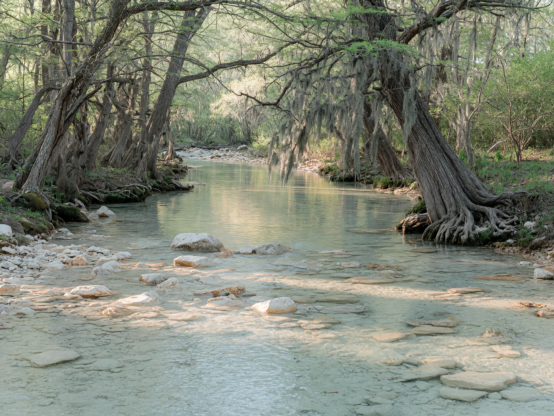 Clear spring-fed creek running over limestone with cypress trees along the bank in Tishomingo
