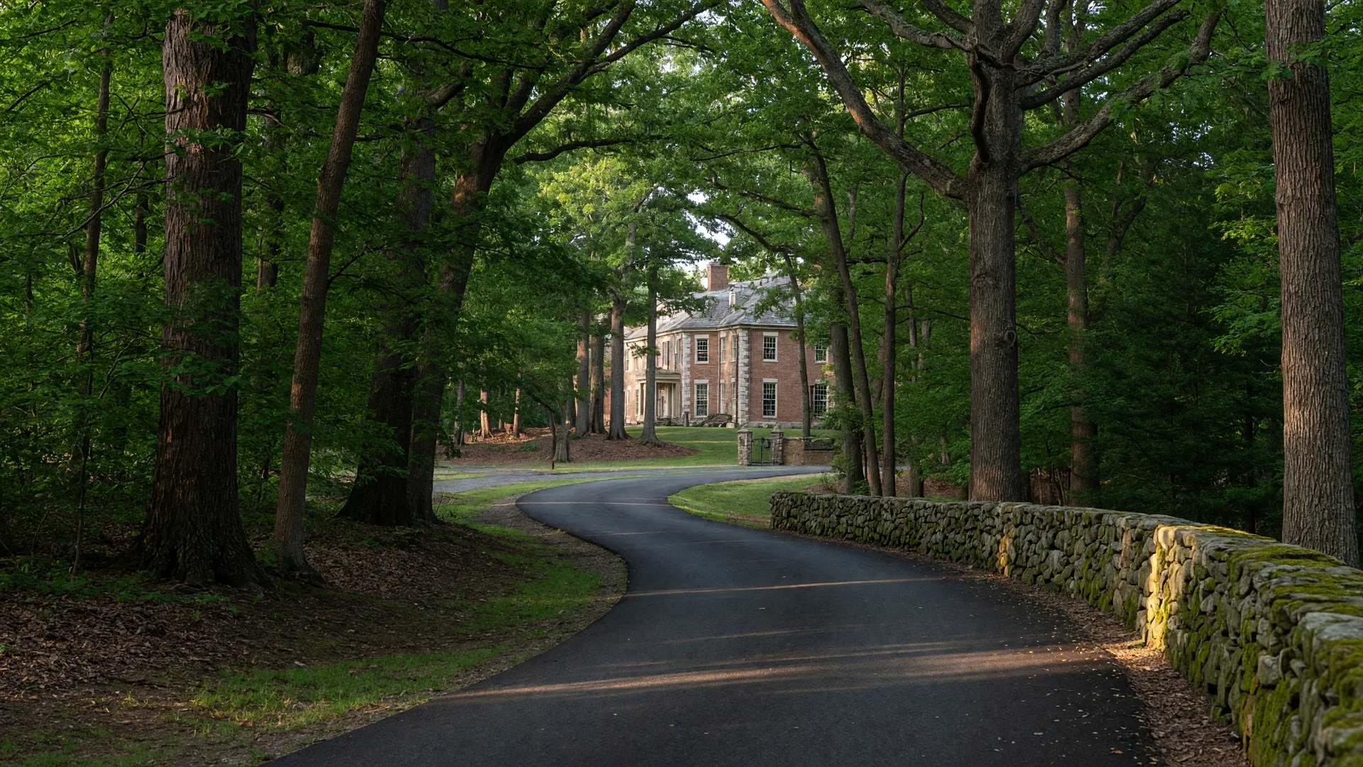 A winding, canopy-shaded lane in Potomac estate country with a low stone wall and a stately residence set back among the woods