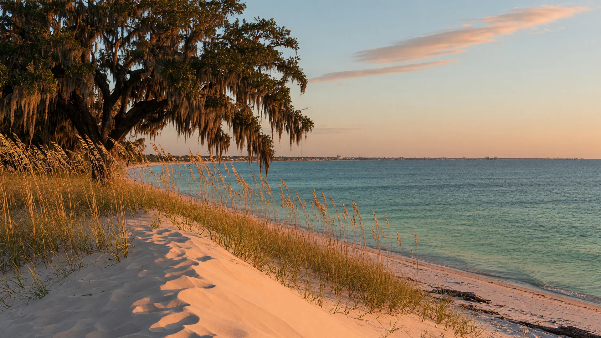 A moss-draped live oak framing a Biloxi beachfront at golden hour in October, with sea oats and sand dunes in the foreground and the Mississippi Sound stretching to the horizon