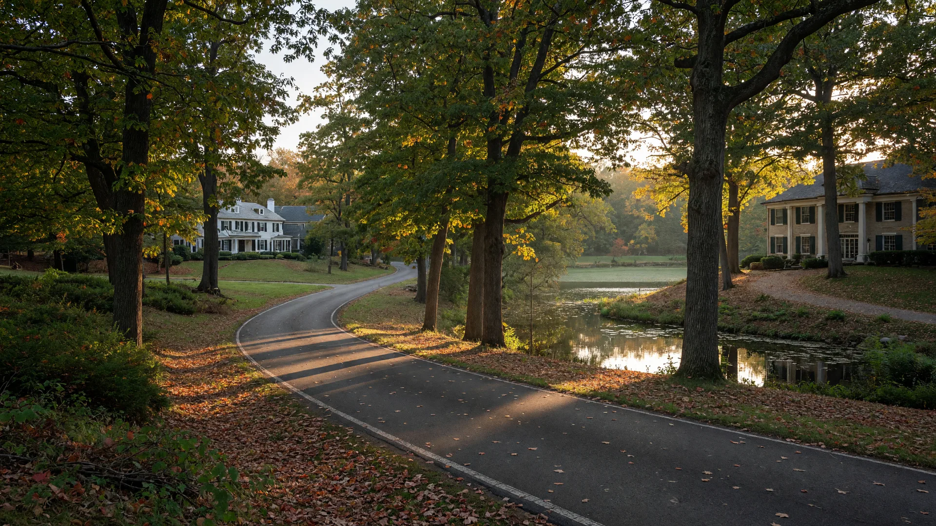 A stately tree-lined lane in the Barton Hills village of Ann Arbor with large homes on wooded lots and river views in the distance