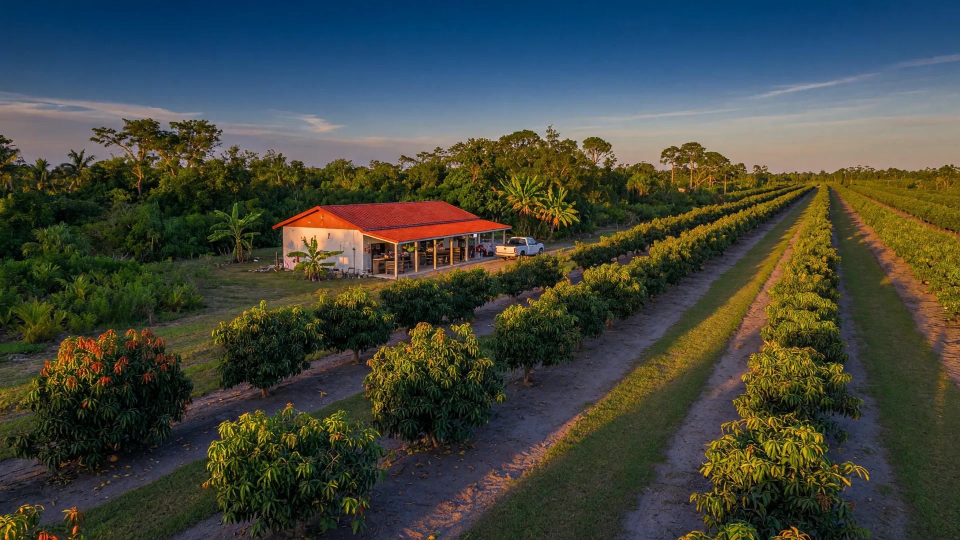 Header image for "Things to Do in the Redland With the Family: Farms, Fruit, and a Castle"