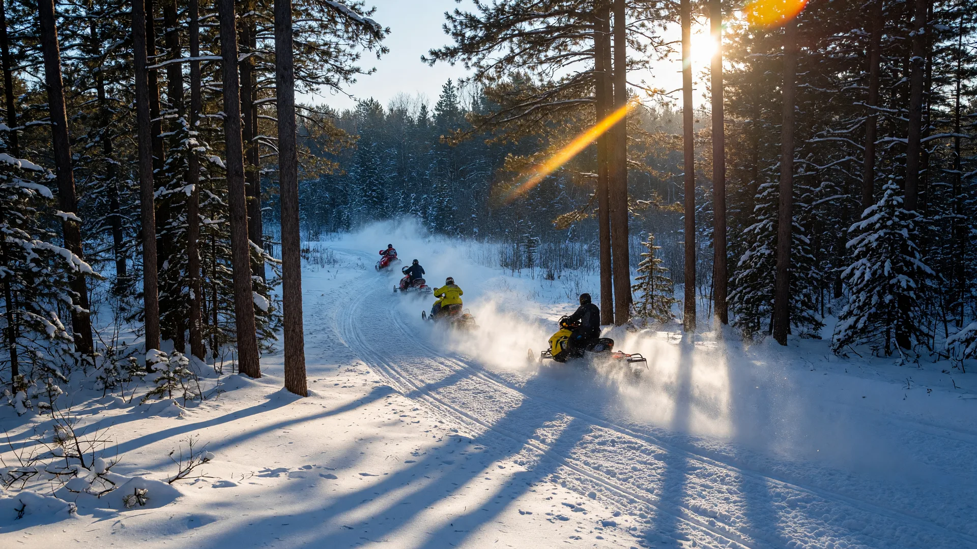 Cross-country snowmobiles racing through snowy northern Minnesota pine woods on a bright winter morning