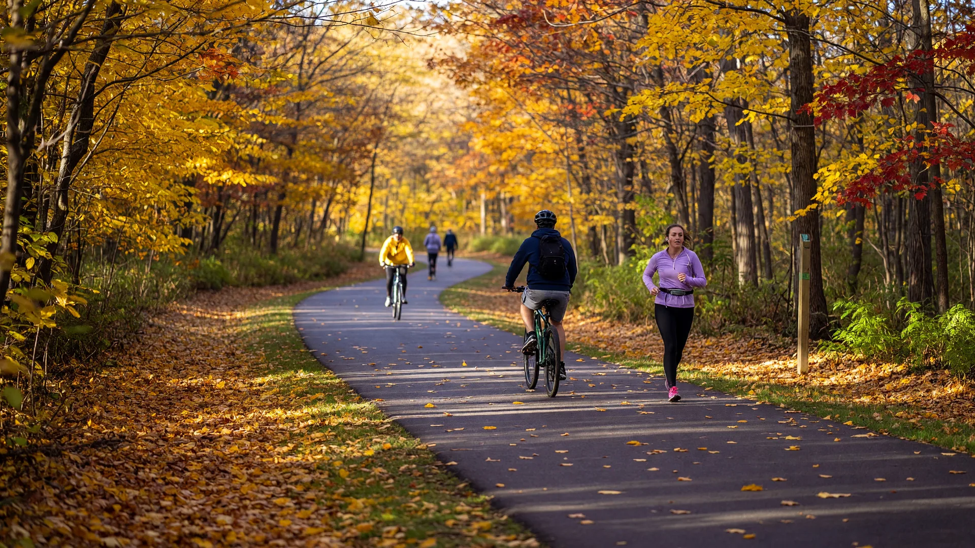 Radnor Trail paved path with autumn foliage and trail users enjoying the scenery